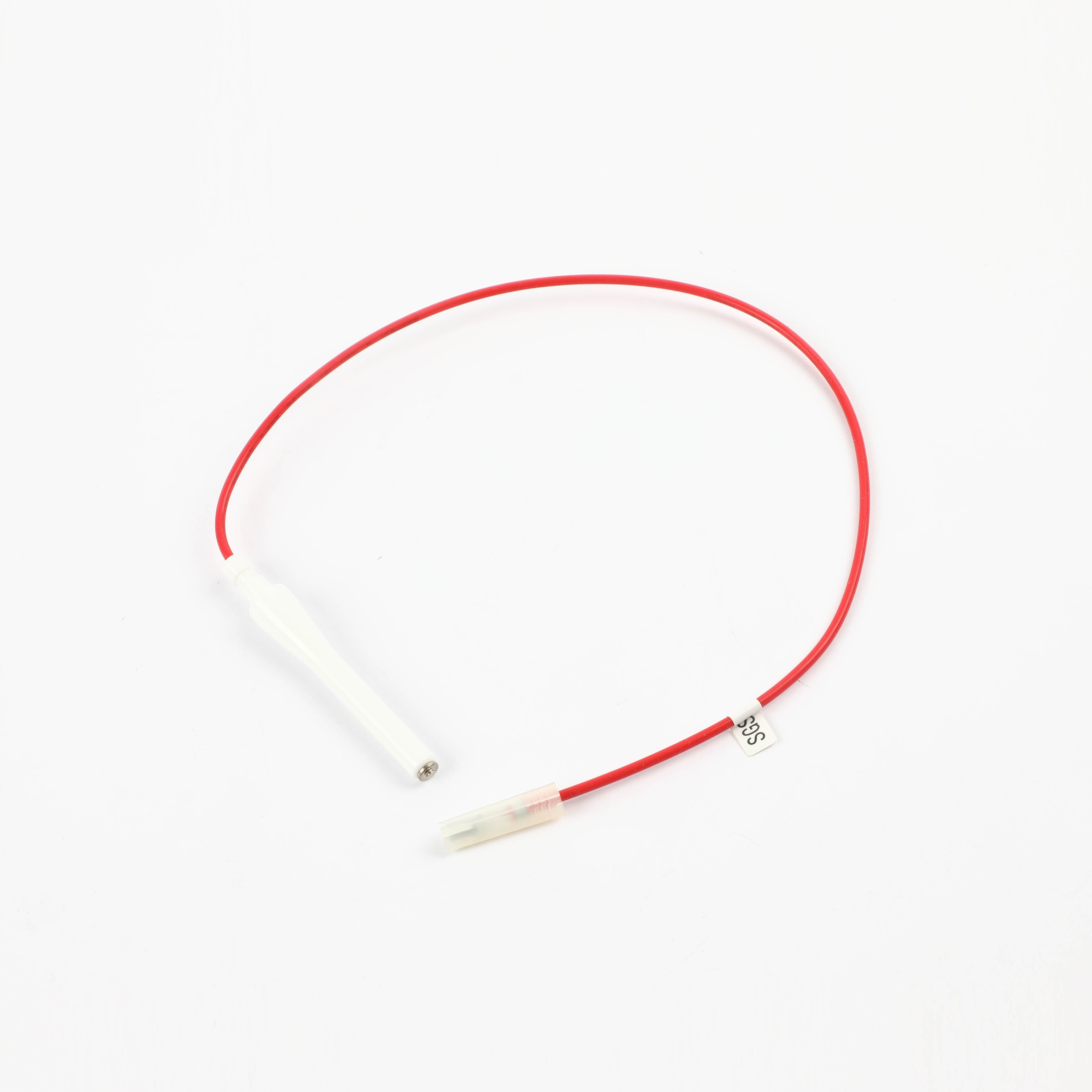 10005148 IGNITER