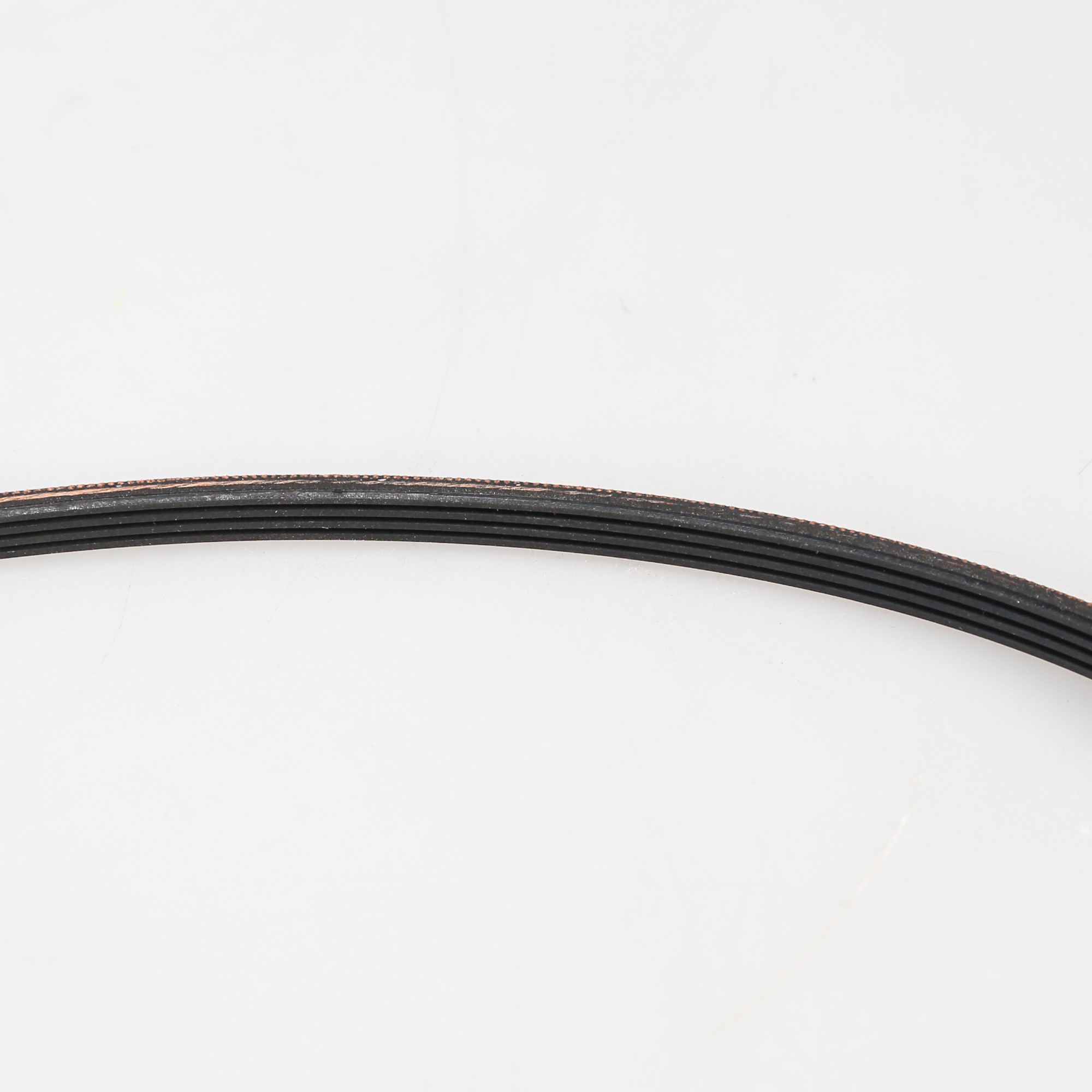 W11025122 Whirlpool Belt