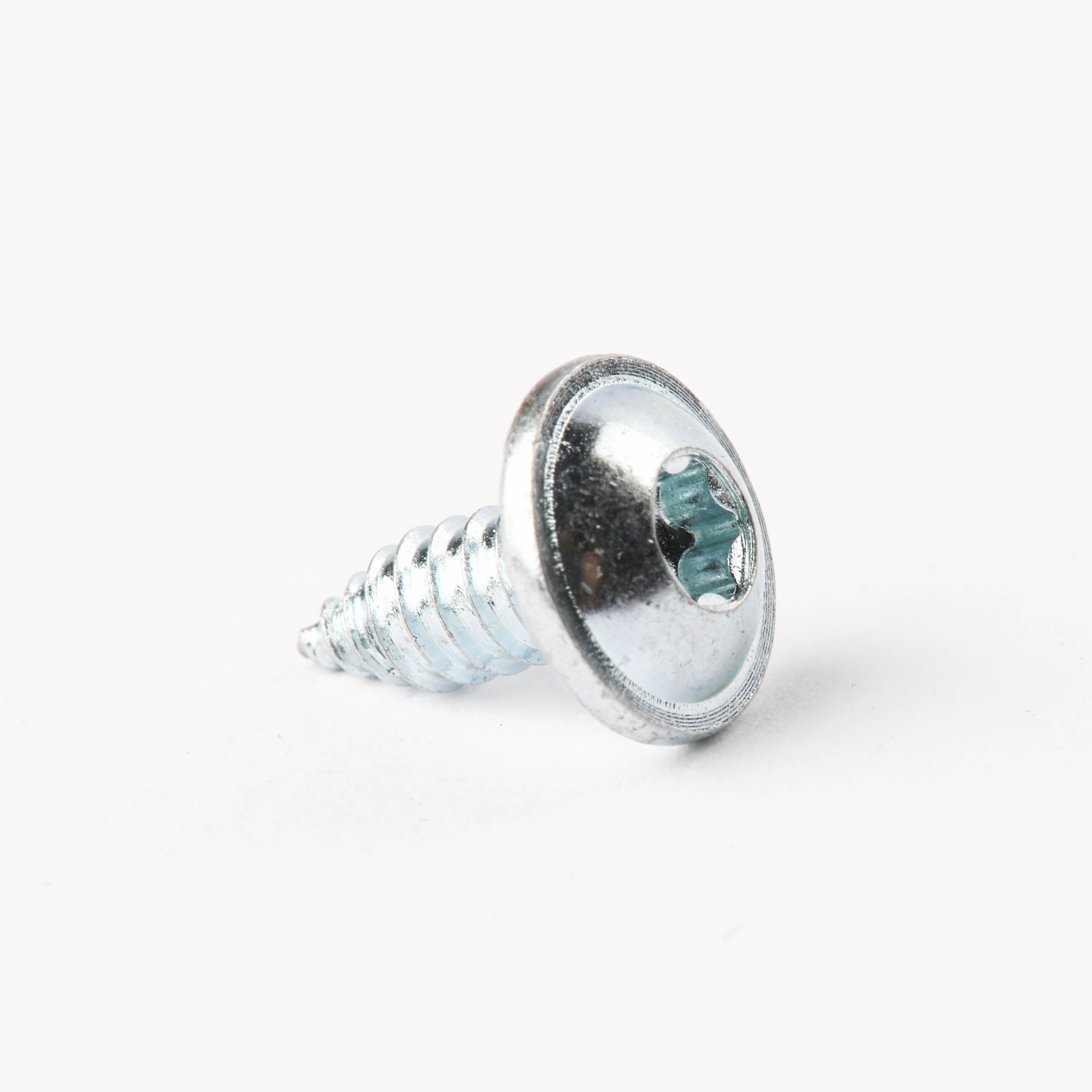 387856311 SCREW