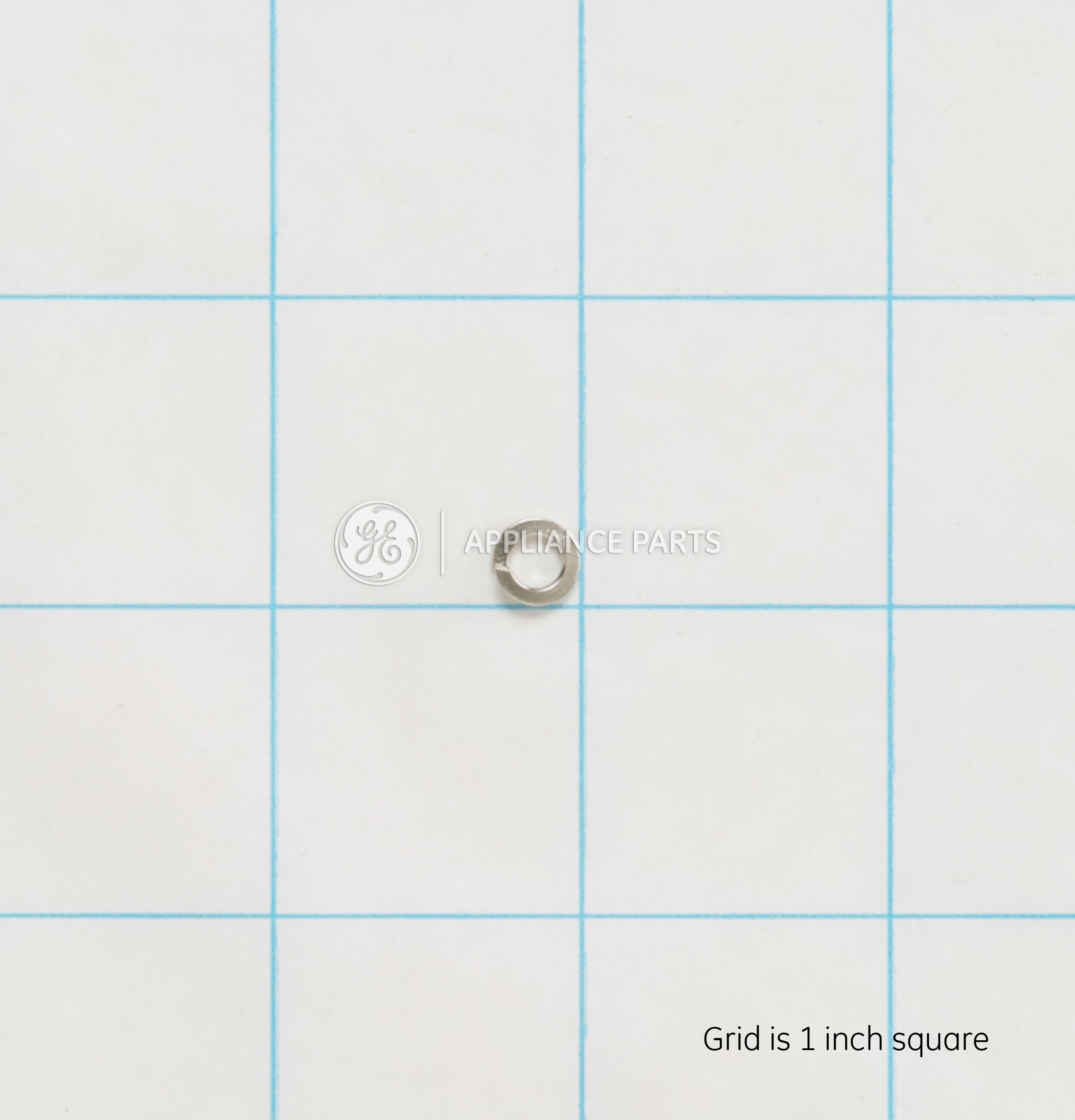 WS02X10080 SPRING WASHER..