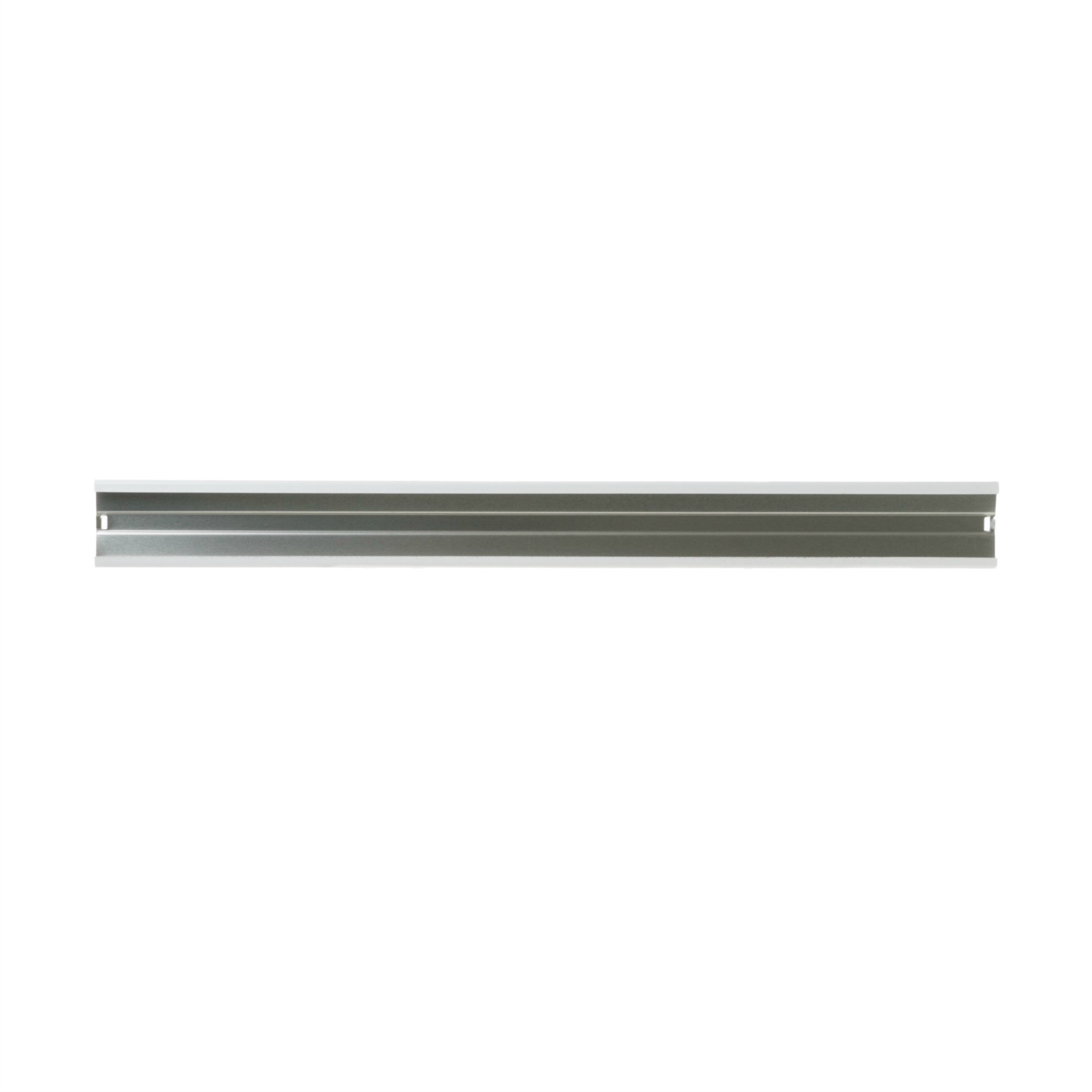 WR17X10670 GE Refrigerator Front Door S