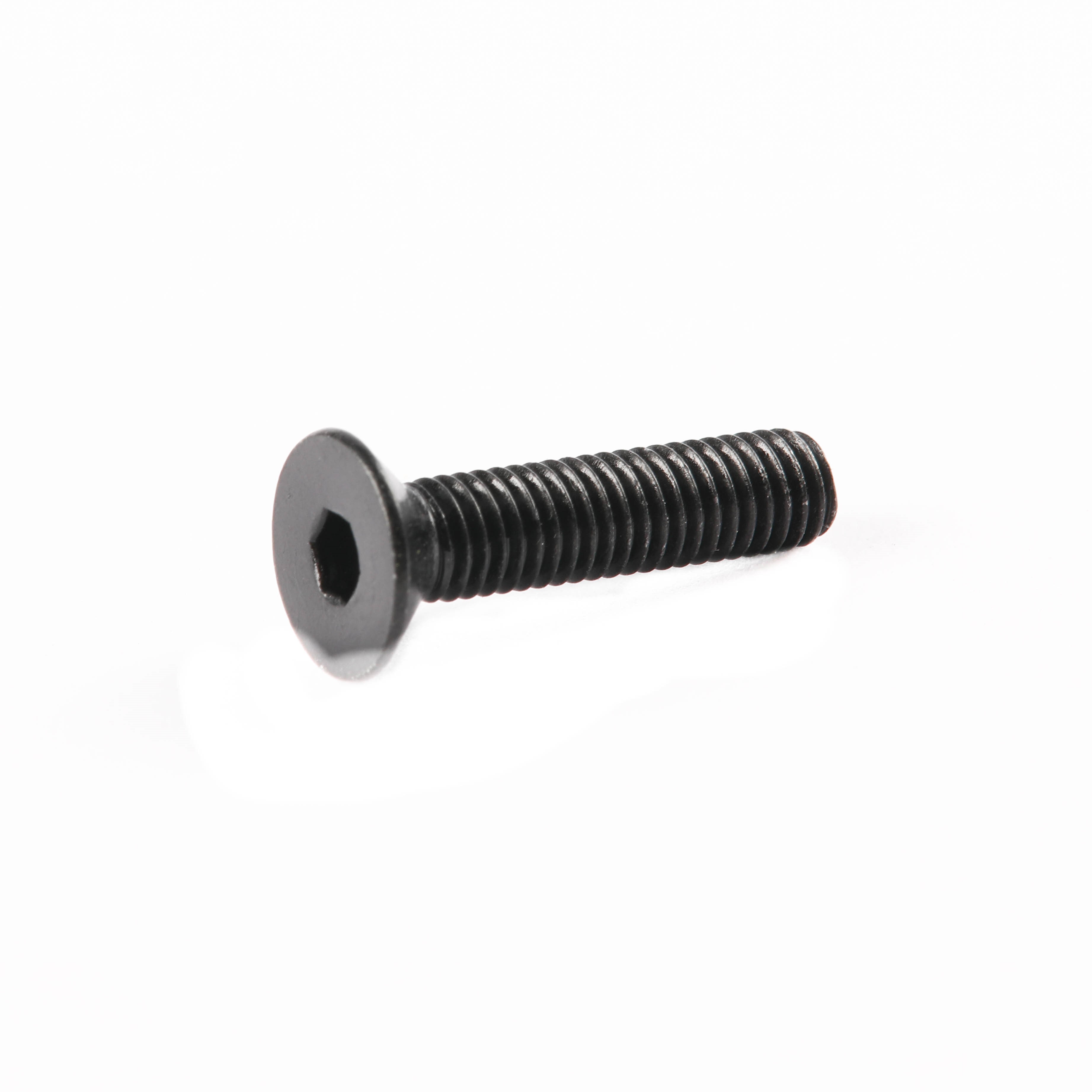 10007320 SCREW