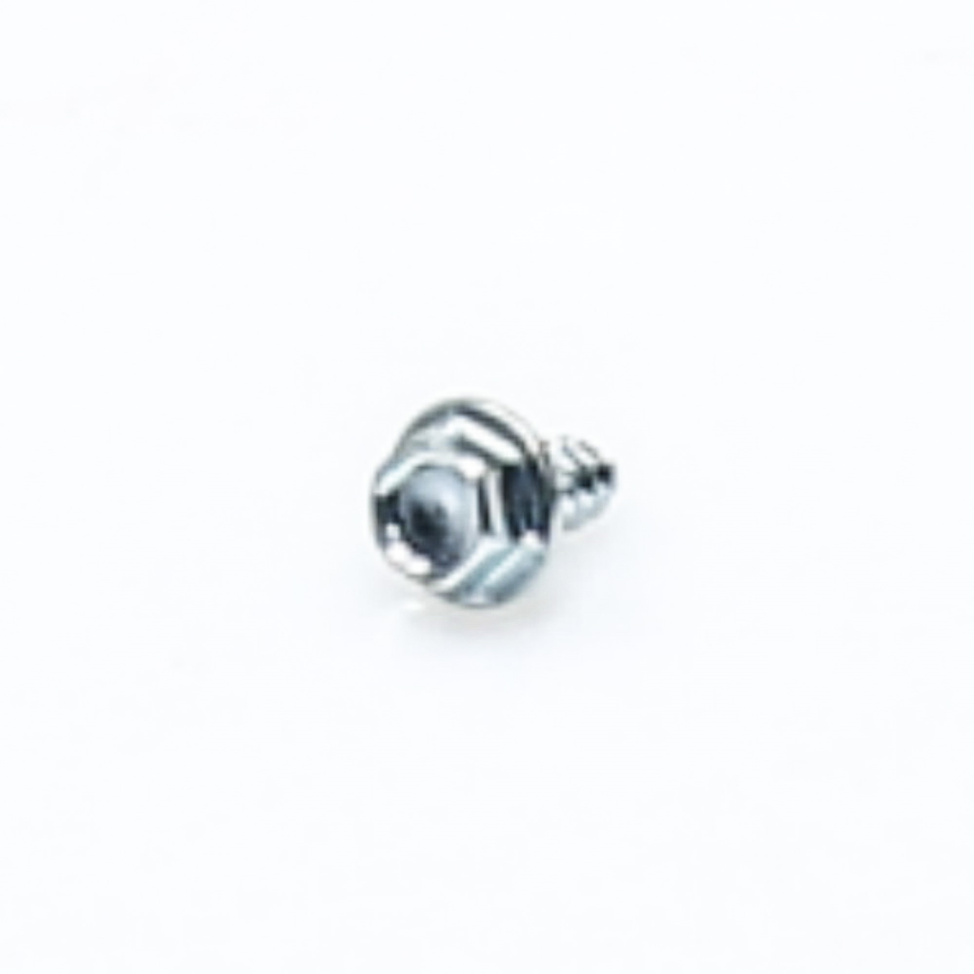 WP693995 SCREW