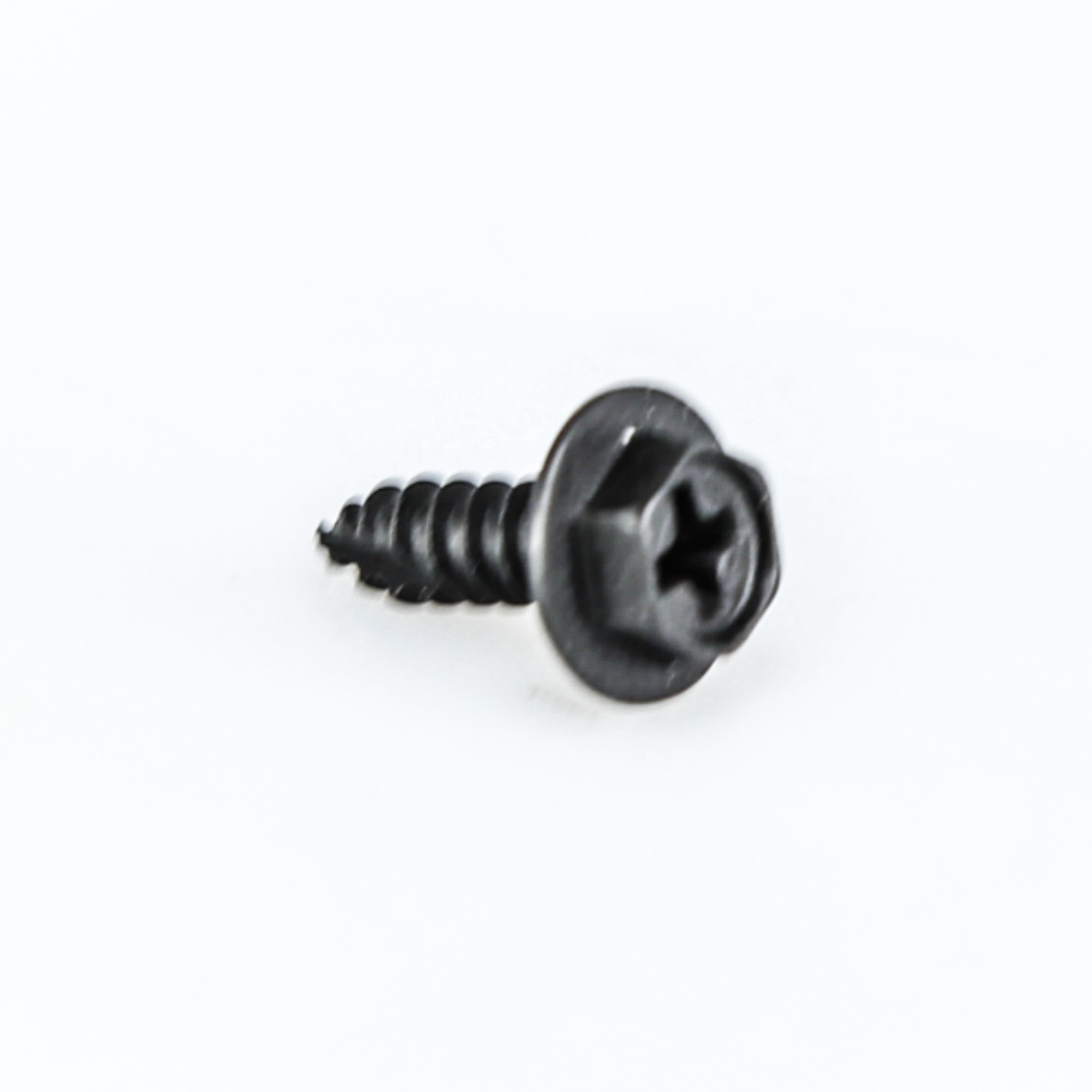 WP302868 SCREW