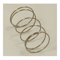 8205529 SPRING