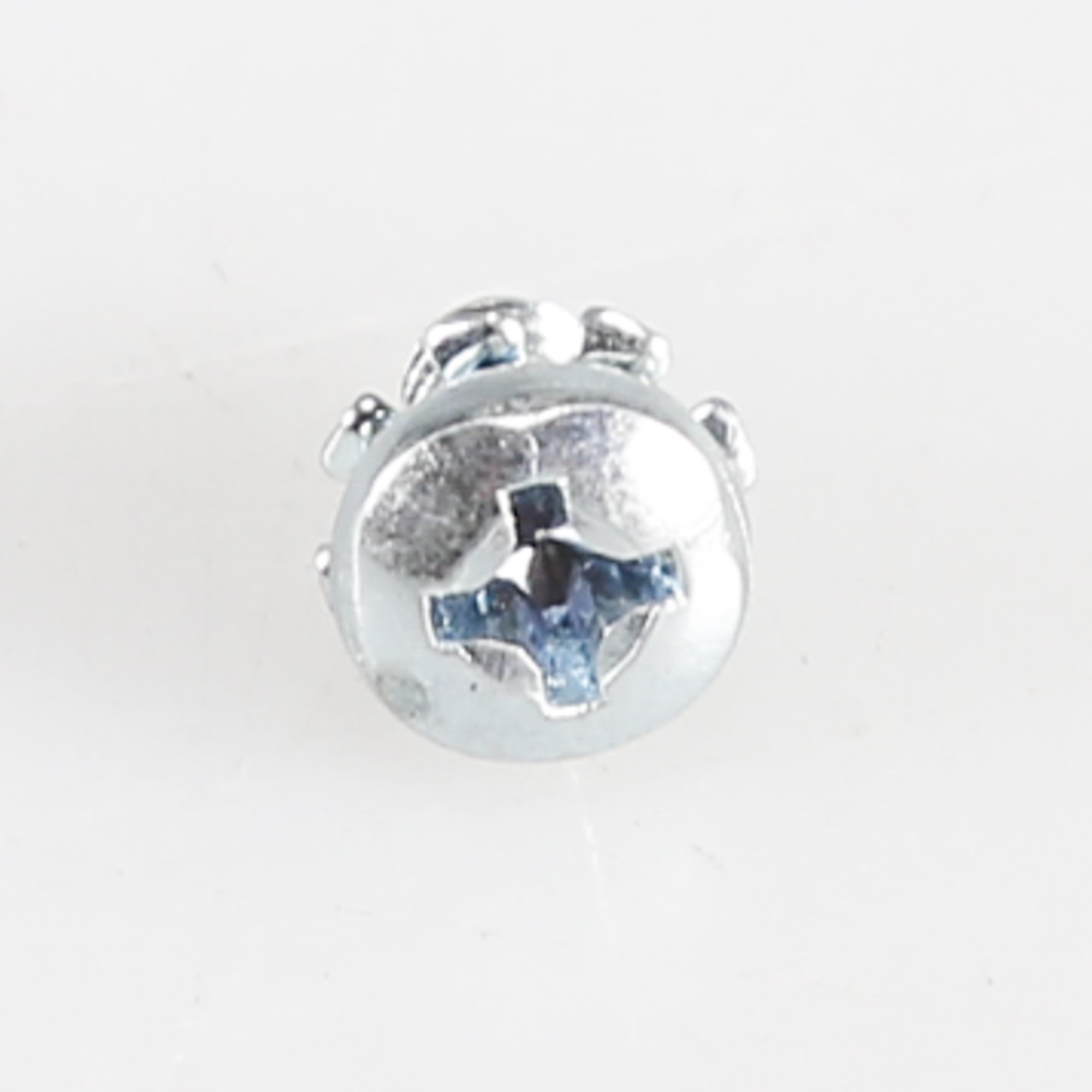 WP313808 SCREW