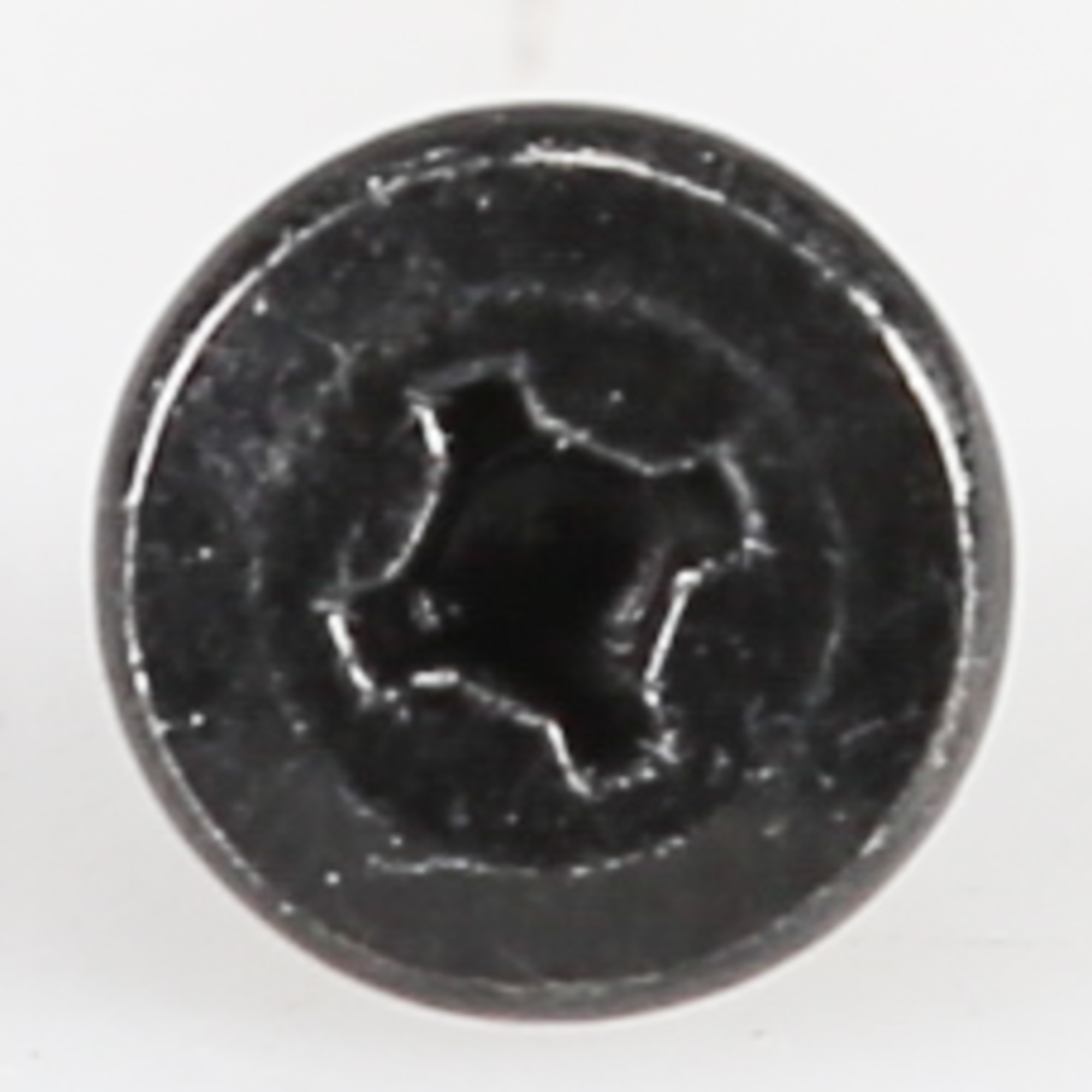 WP4449743 Whirlpool Screw