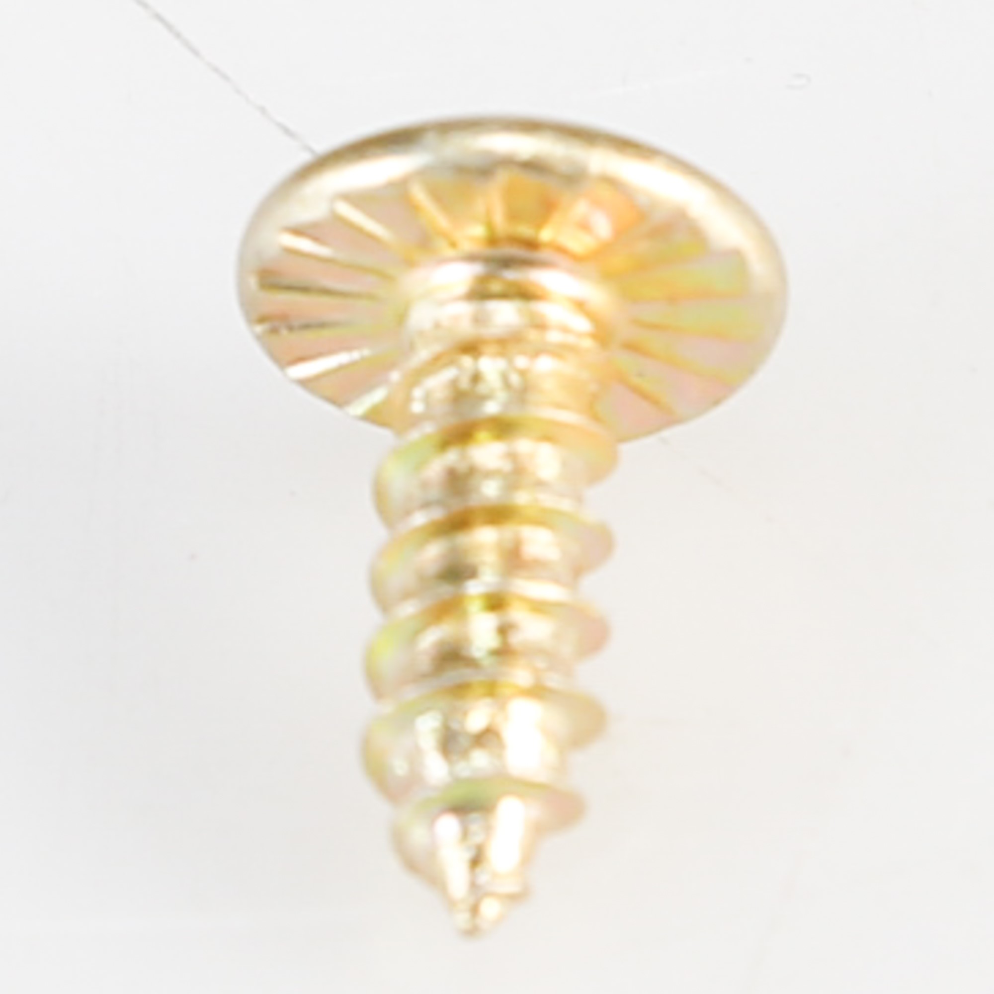 WP8281146 SCREW