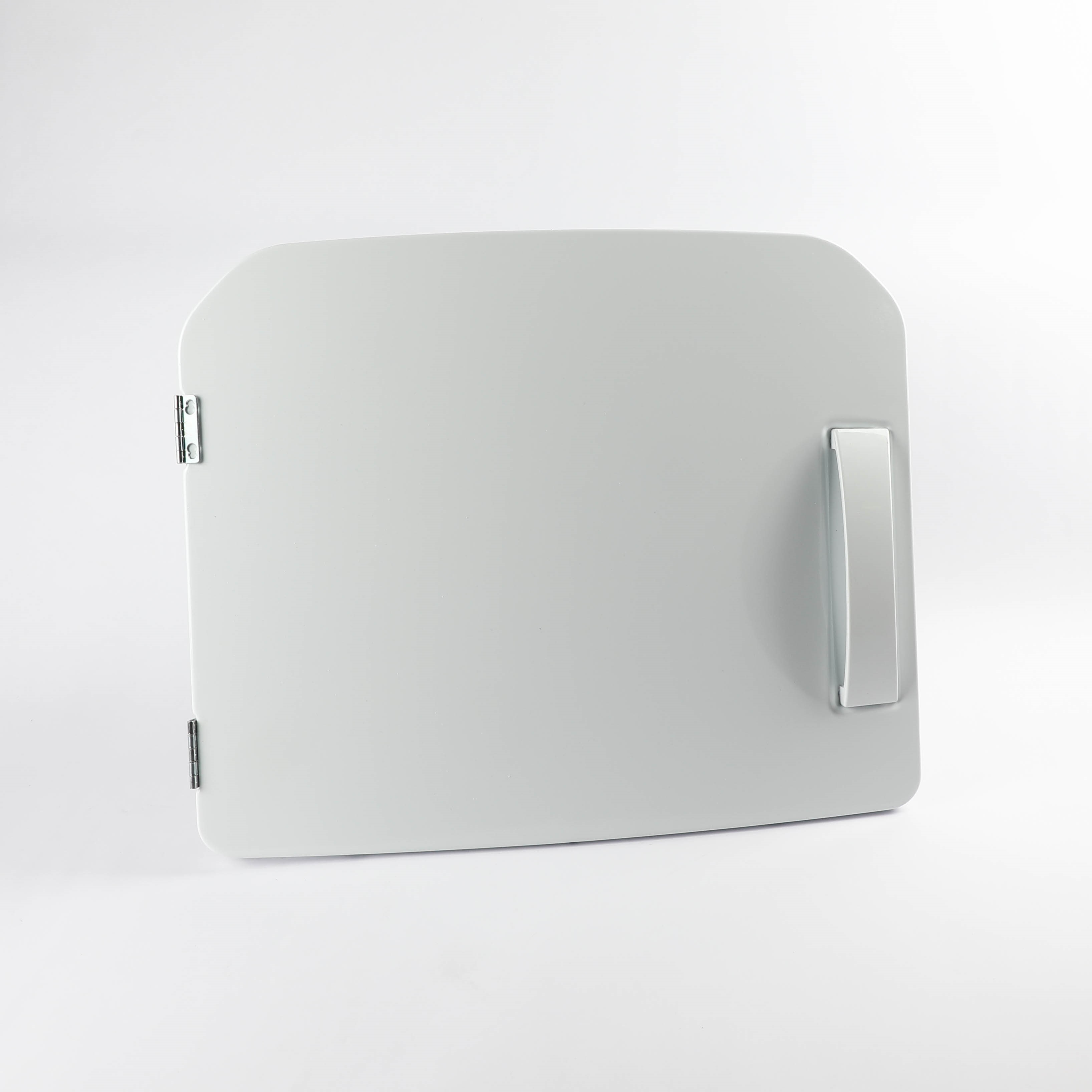 WE10M151 DOOR ASM