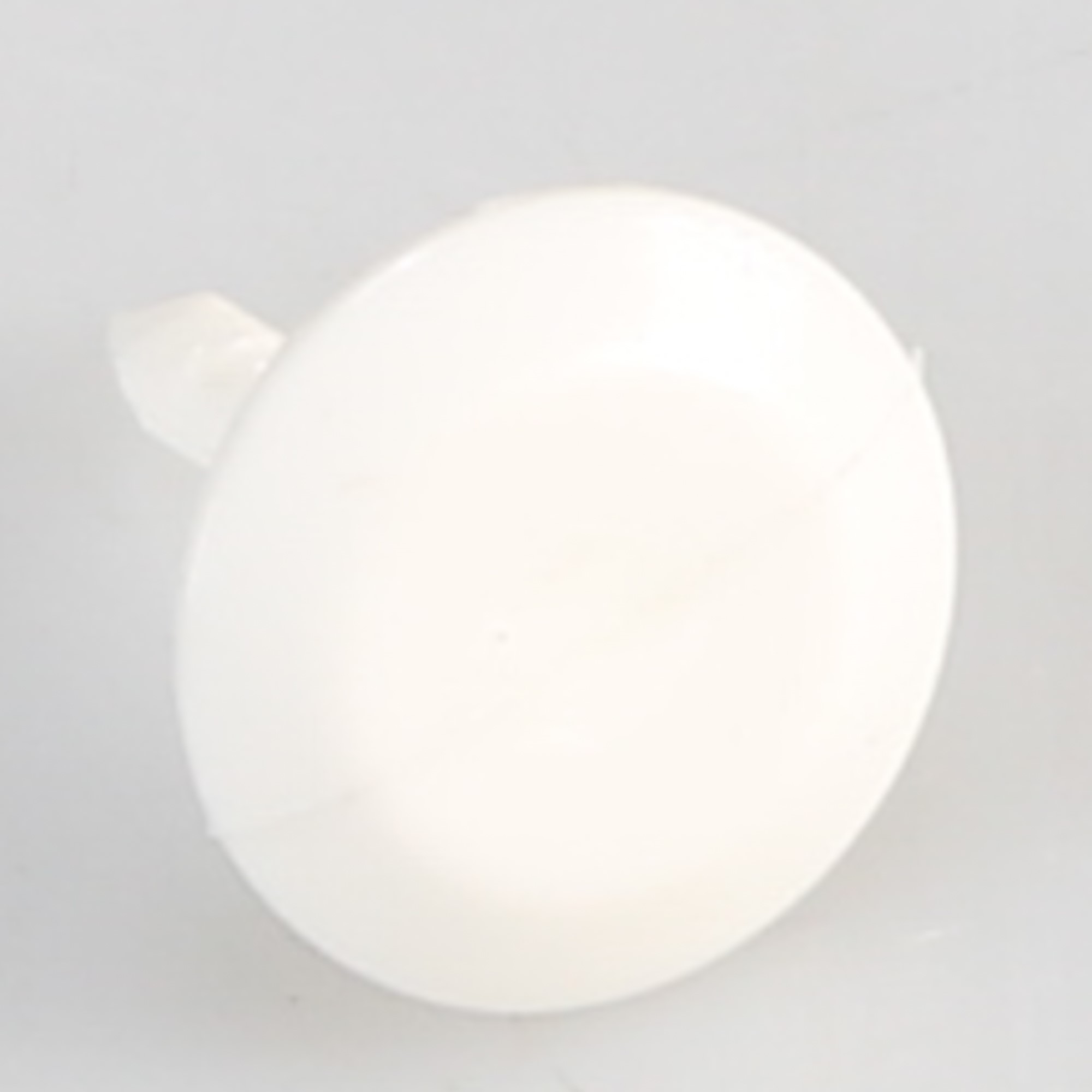 WP941839 BUTTON-PLG