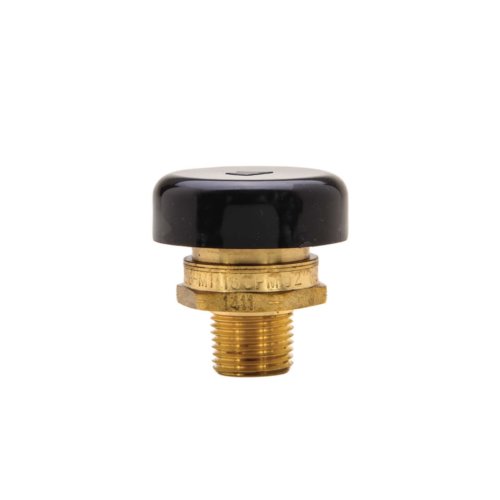 59382 1/2 MNPT BRASS (LEAD FREE) VACUUM RELIEF VALVE