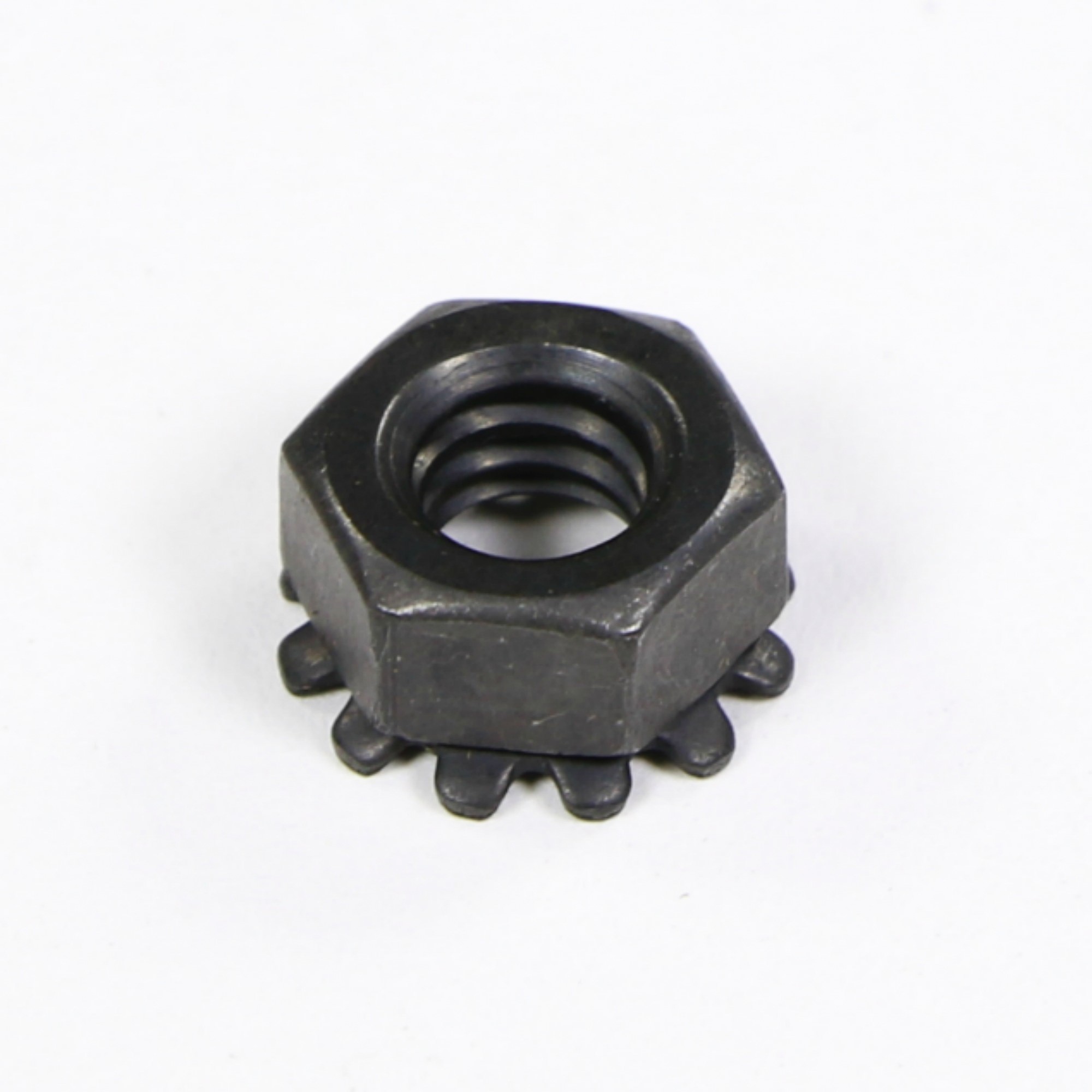 WP487939 NUT