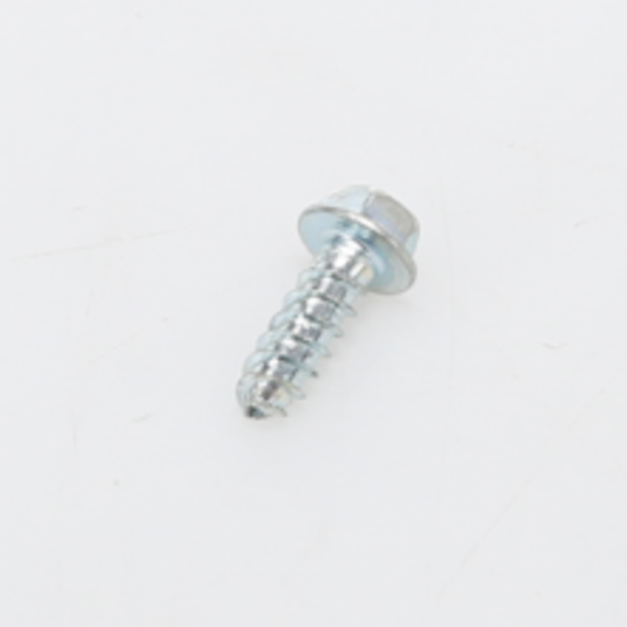WP304231 SCREW