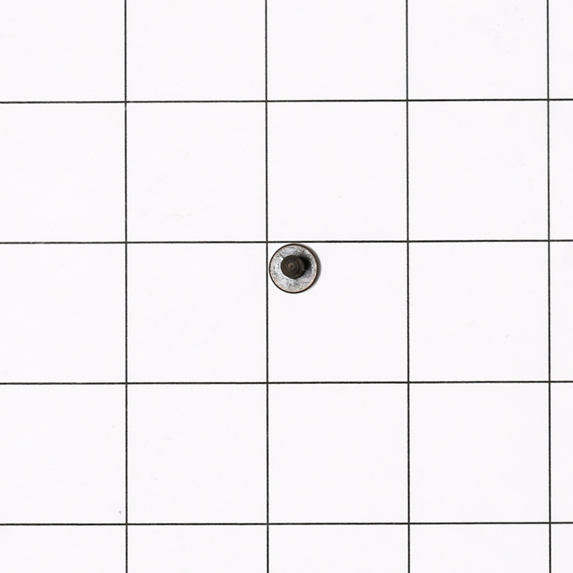 WP98008545 SCREW