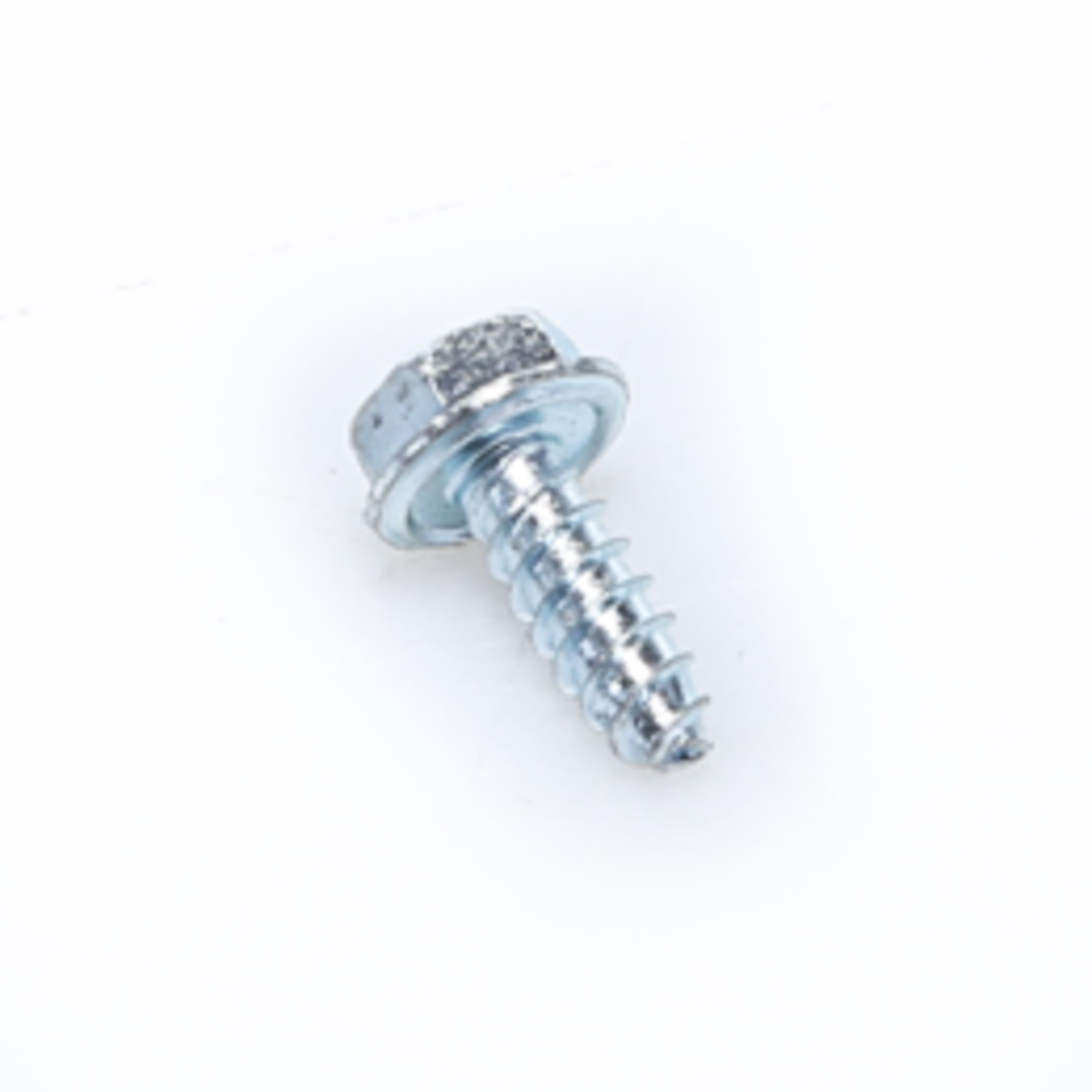 216629601 SCREW