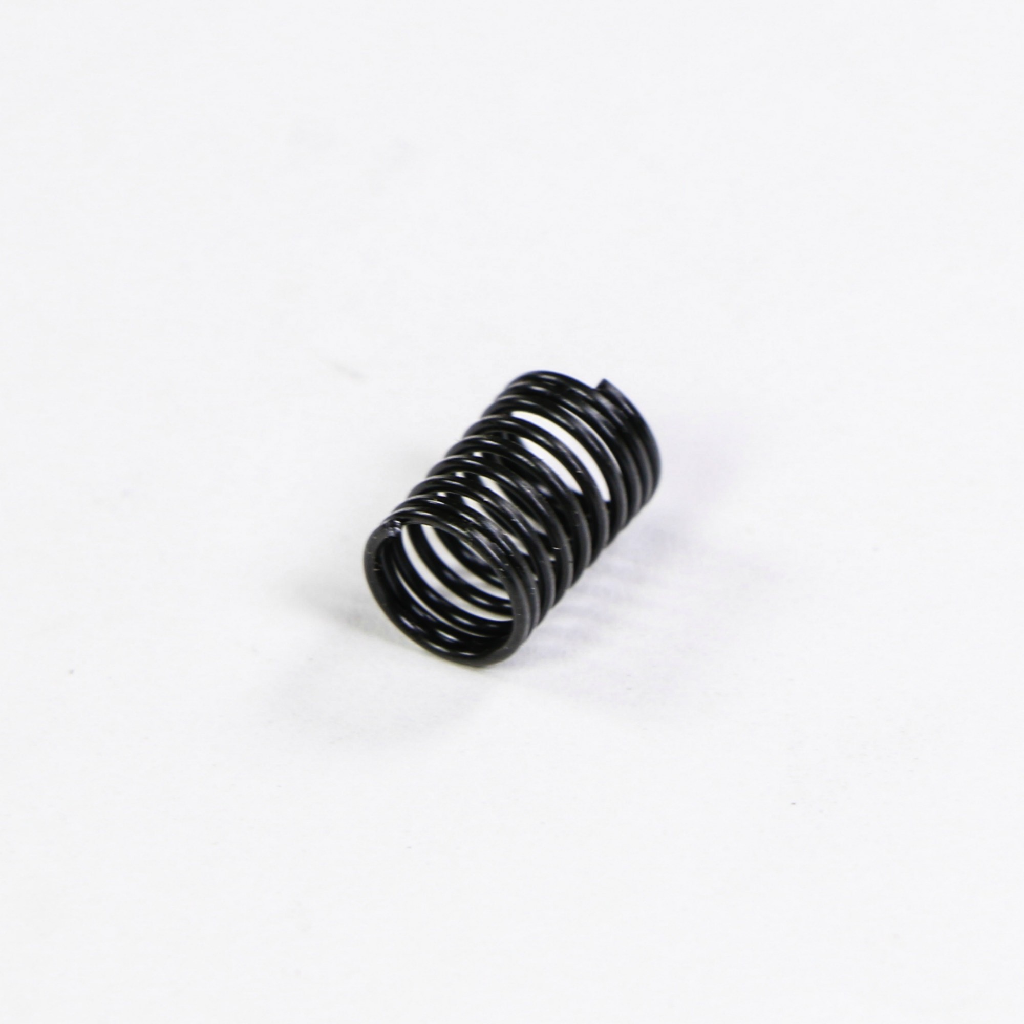 WP116287 CAP-SPRING