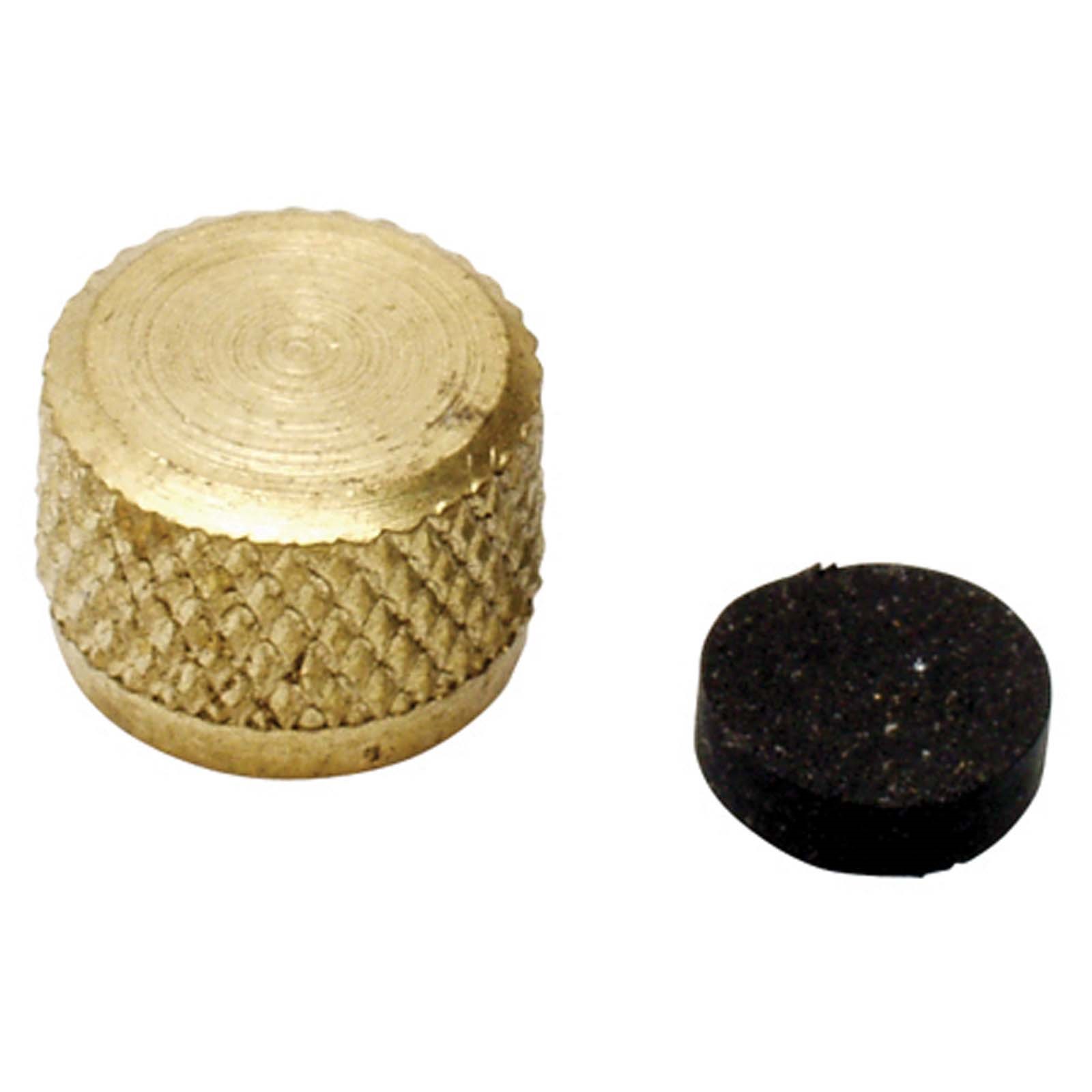 80181 CAP & SEAL KIT