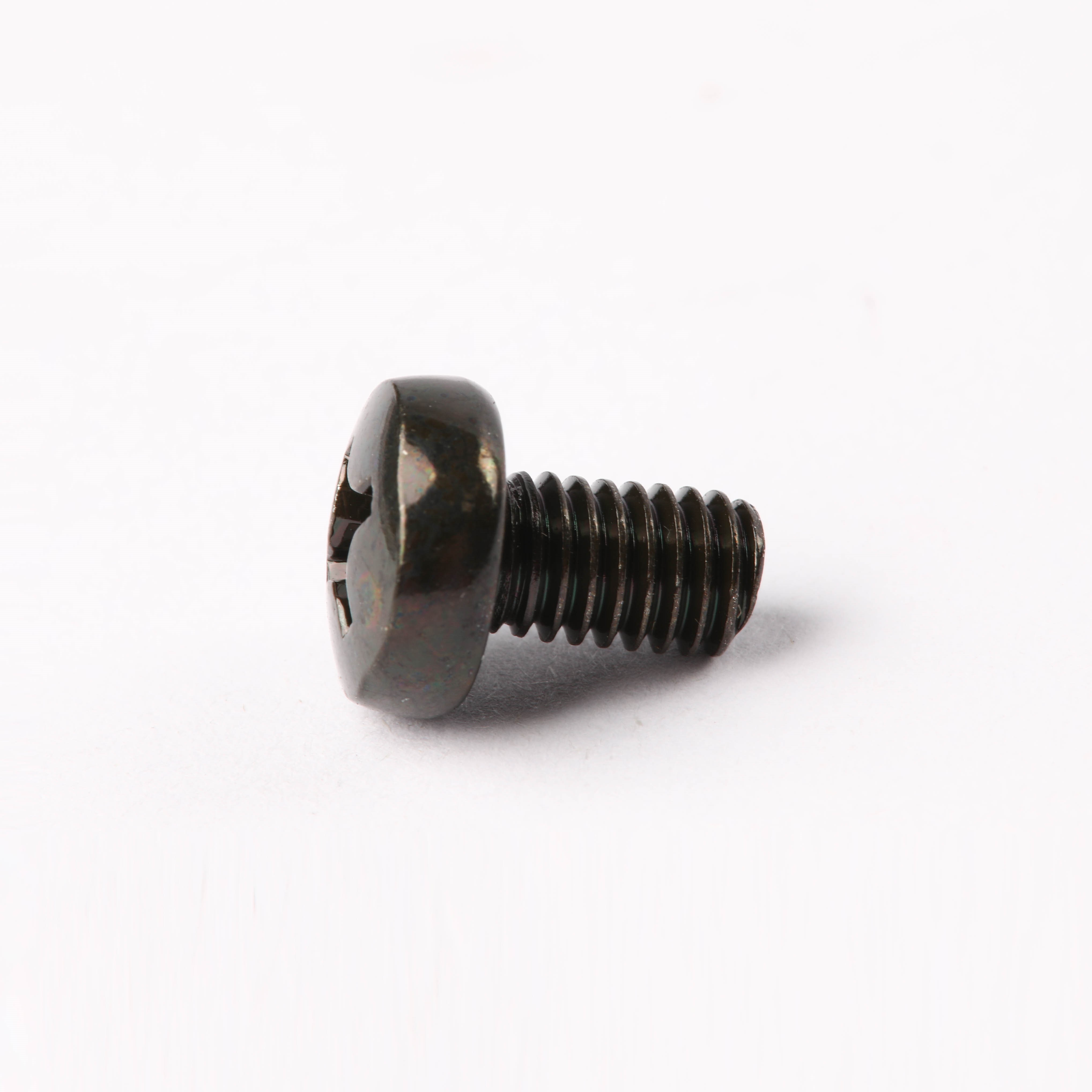 10017583 SCREW