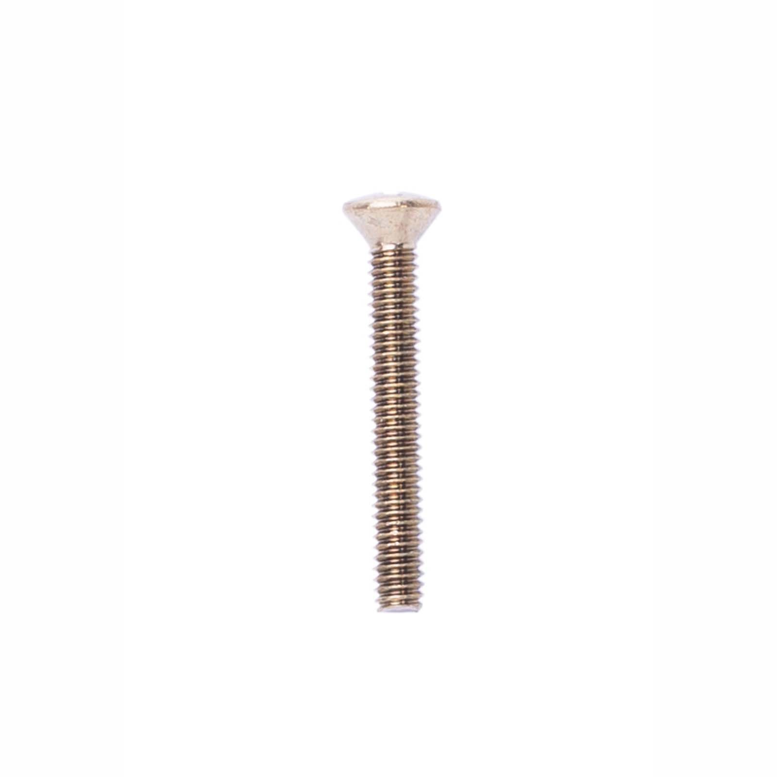 22121 STAINLESS STEEL OVAL HEAD SCREW, POLISHED BRASS