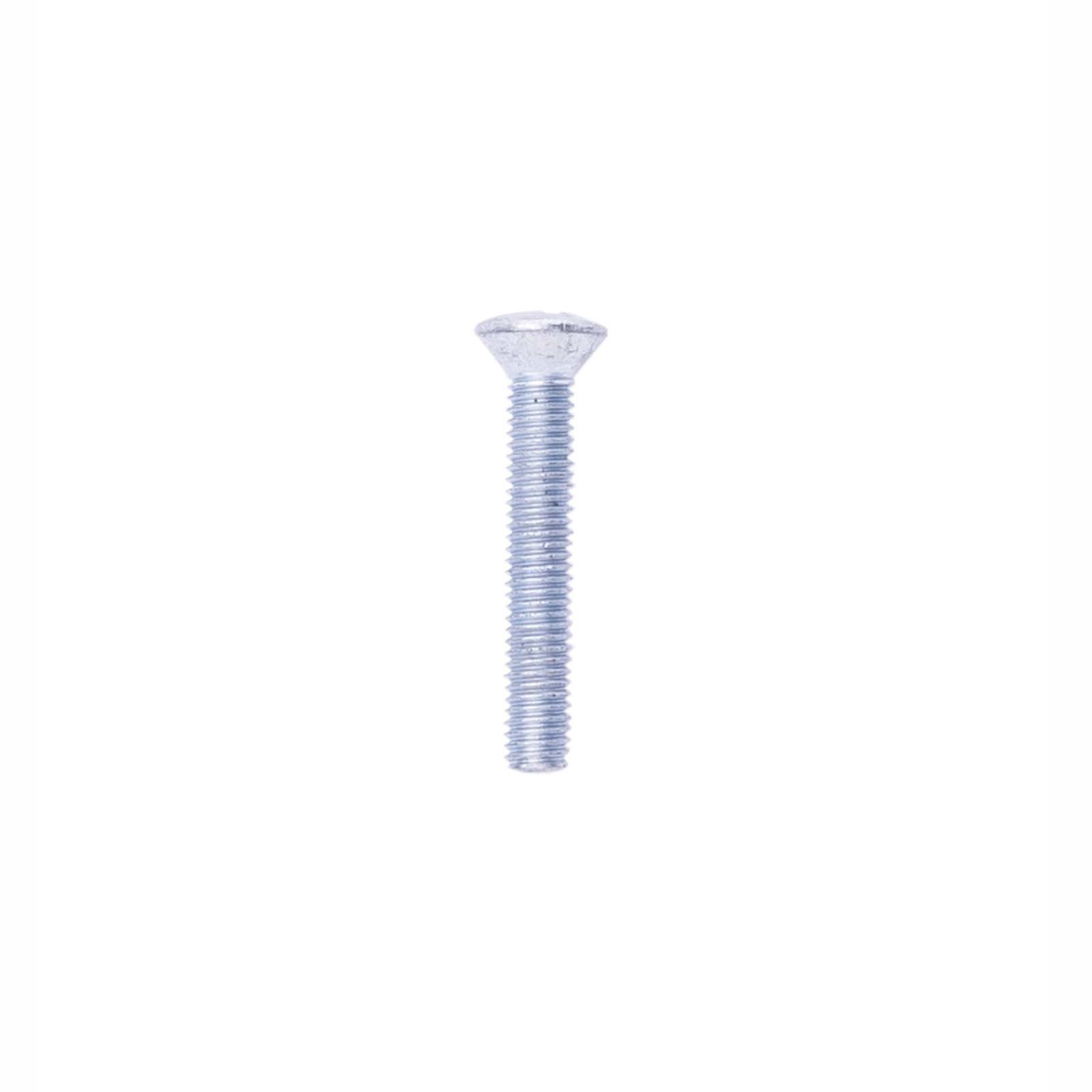 22126 OVAL HEAD SCREW, CHROME PLATED