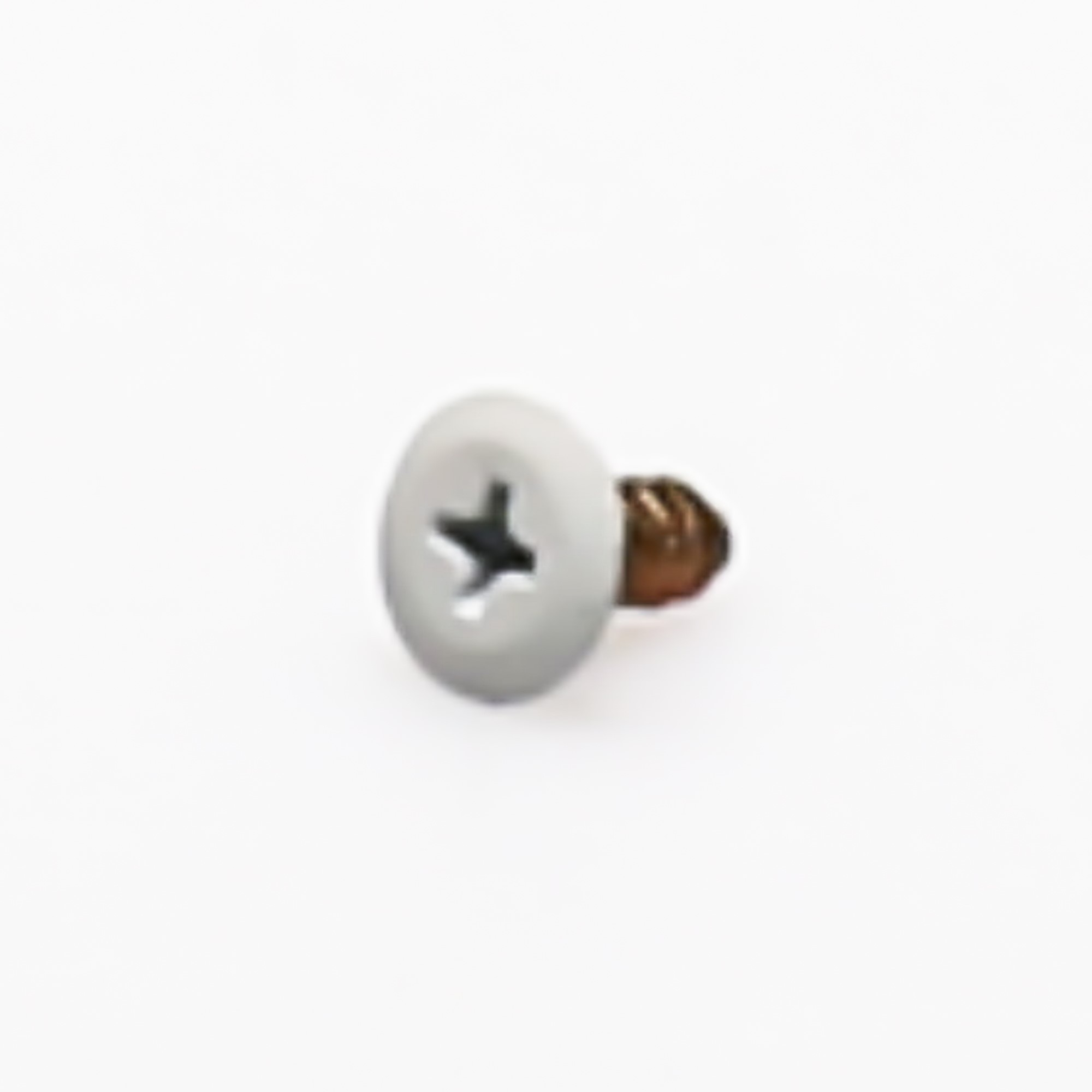 WP3196557 SCREW