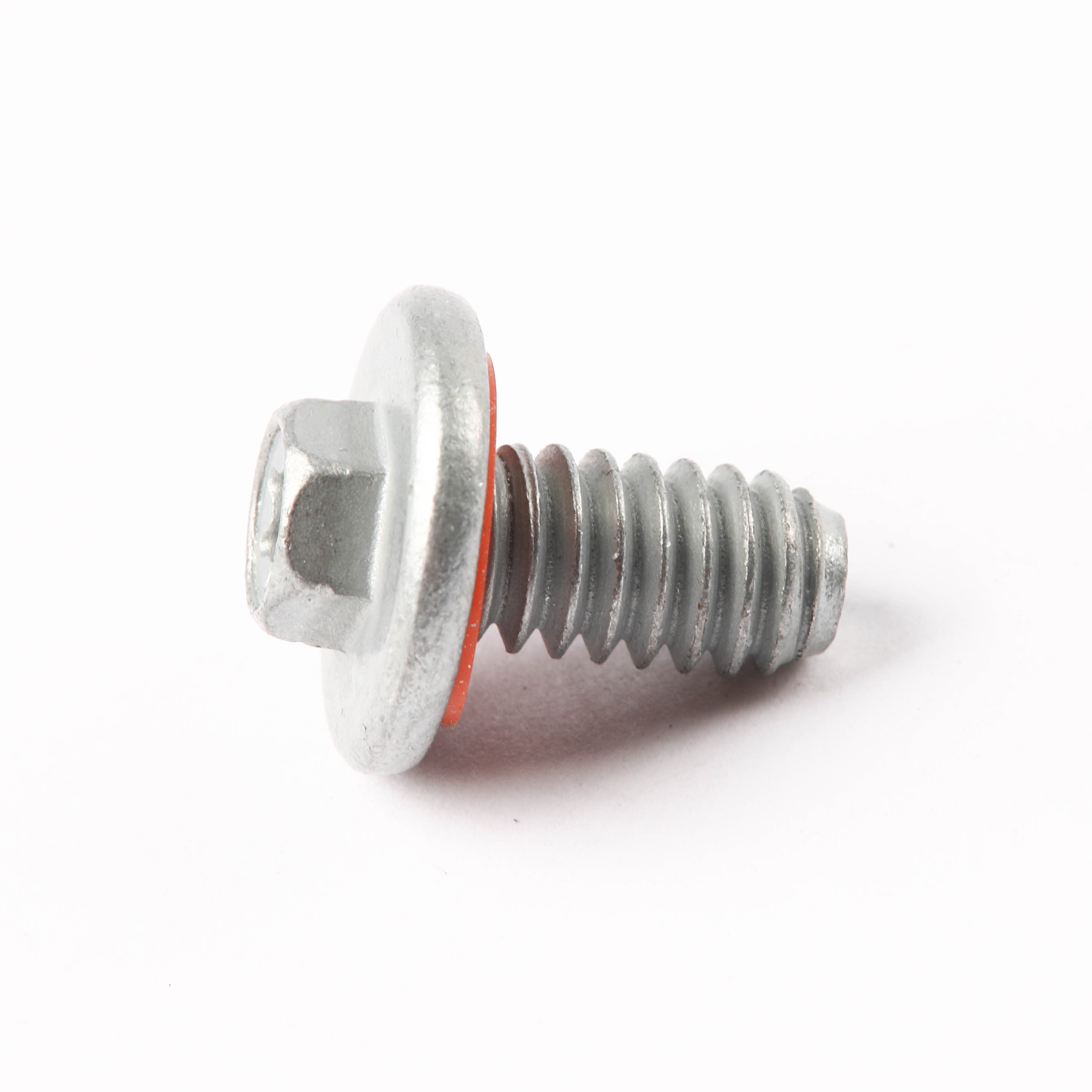 316215601 SCREW