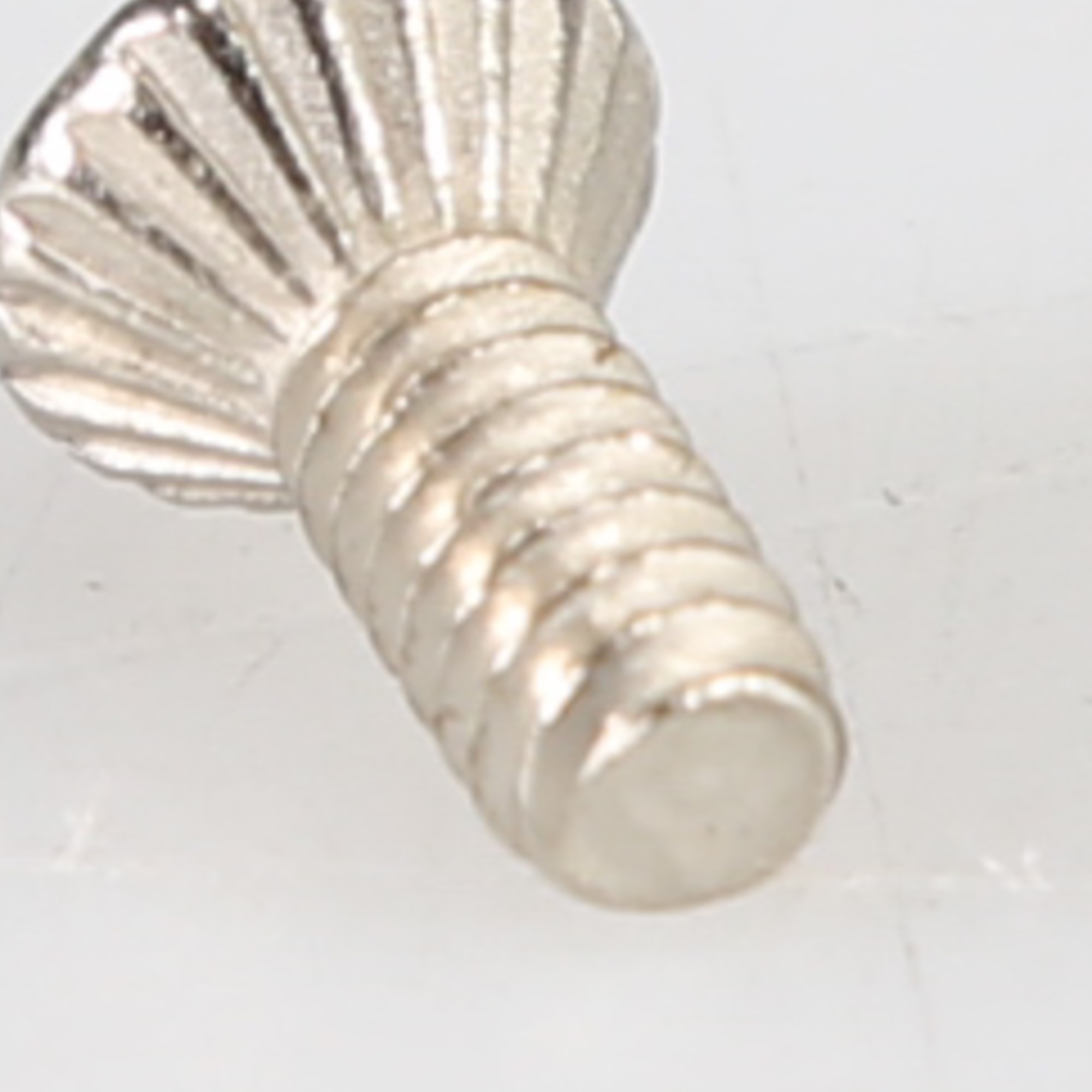 WP241877 SCREW