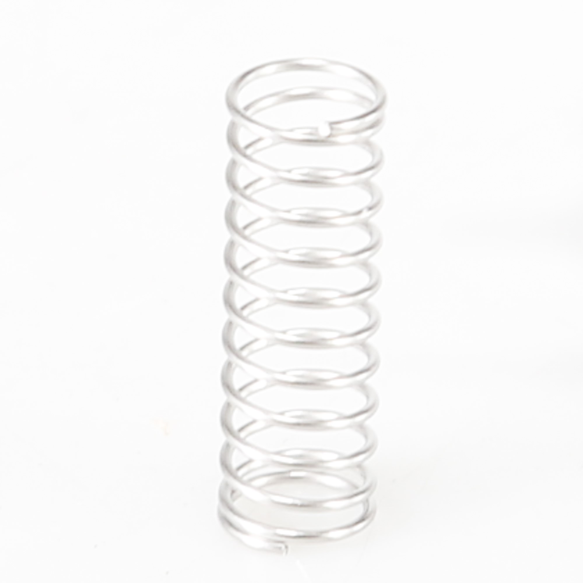 WP2198608 SPRING