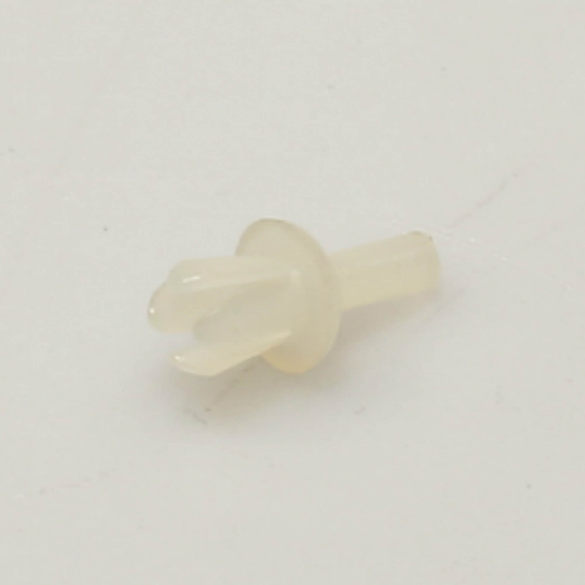 WP356907 RIVET