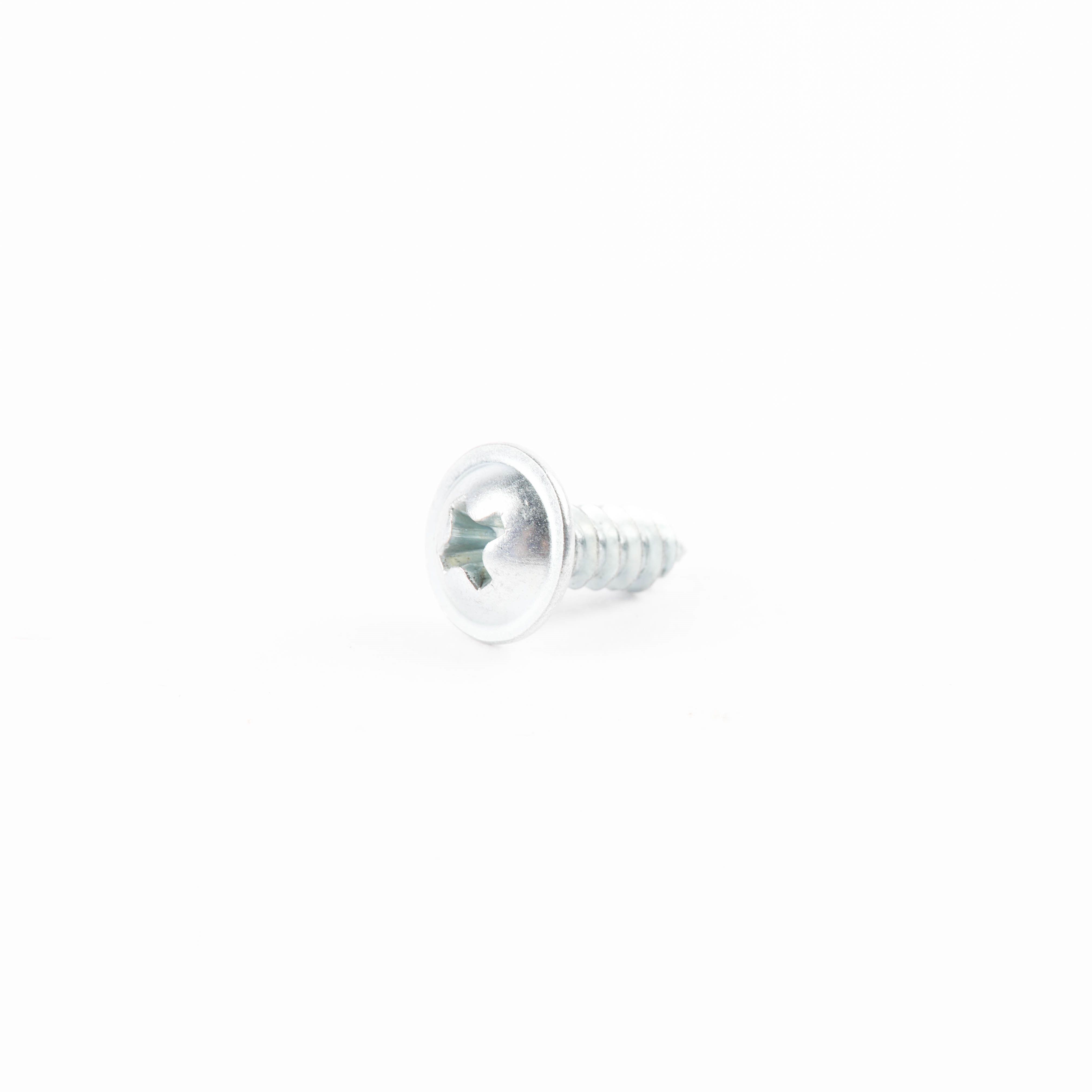 4055578613 SCREW