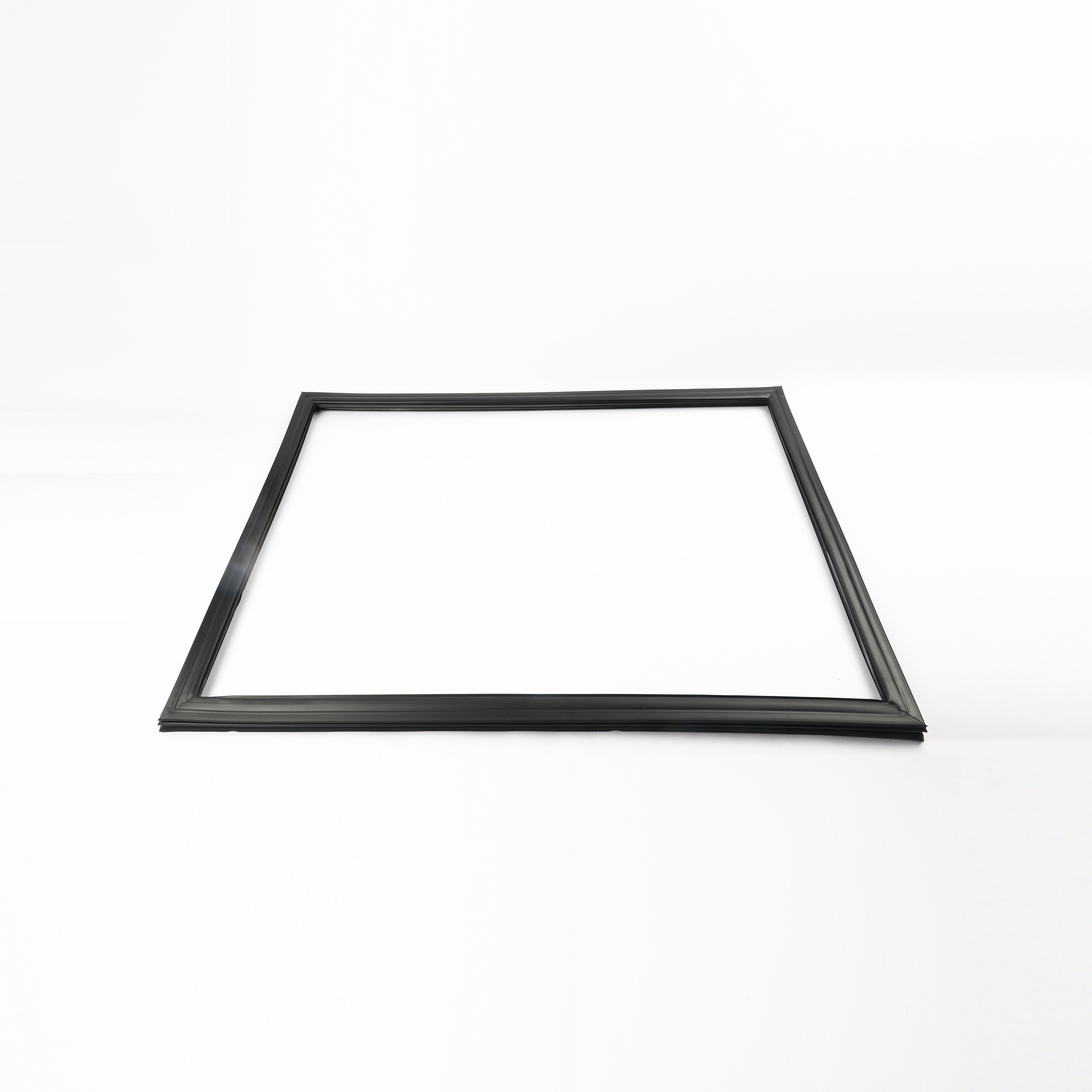 242193208 GASKET-REFR DOOR