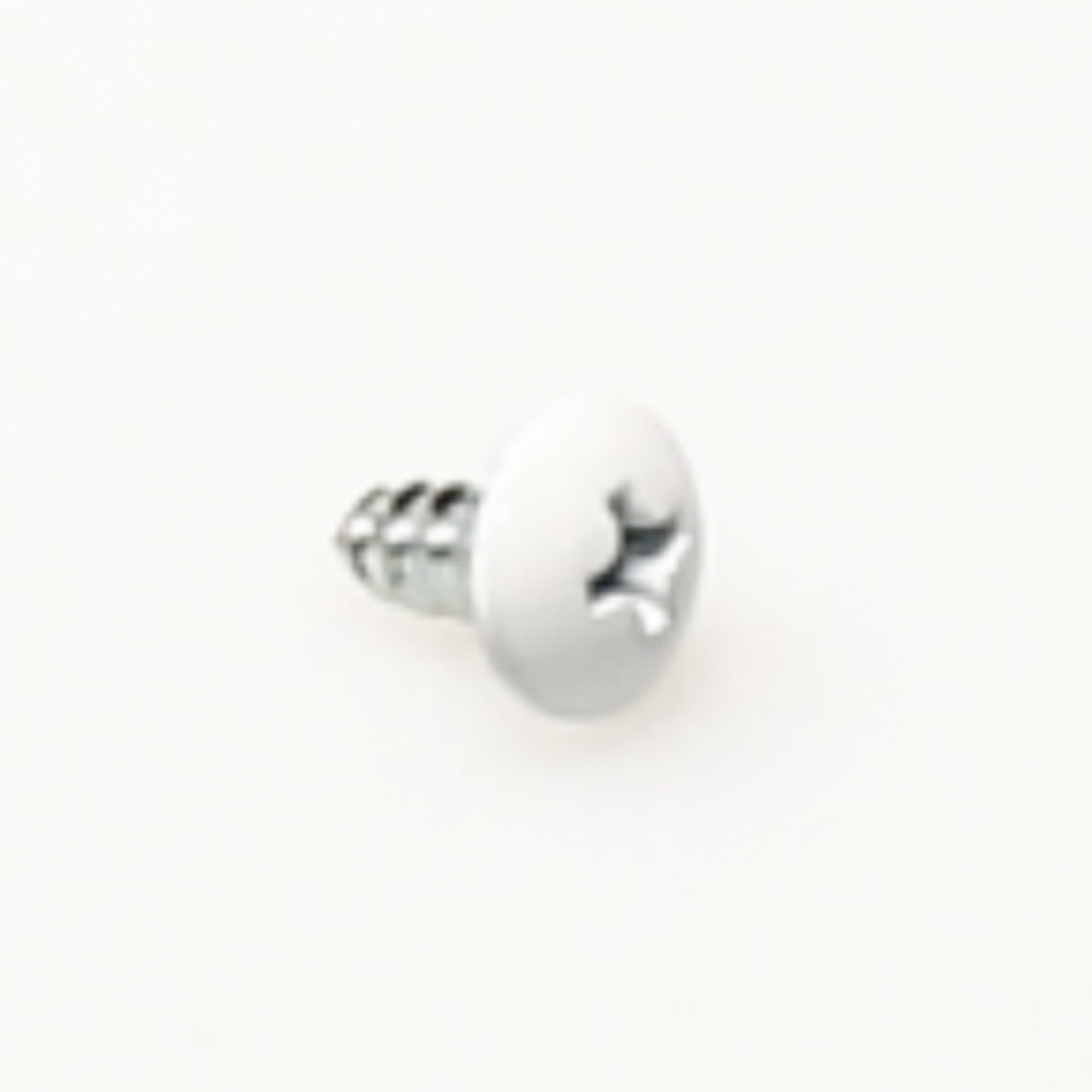 1SZZJA3011B SCREW,CUSTOMIZED