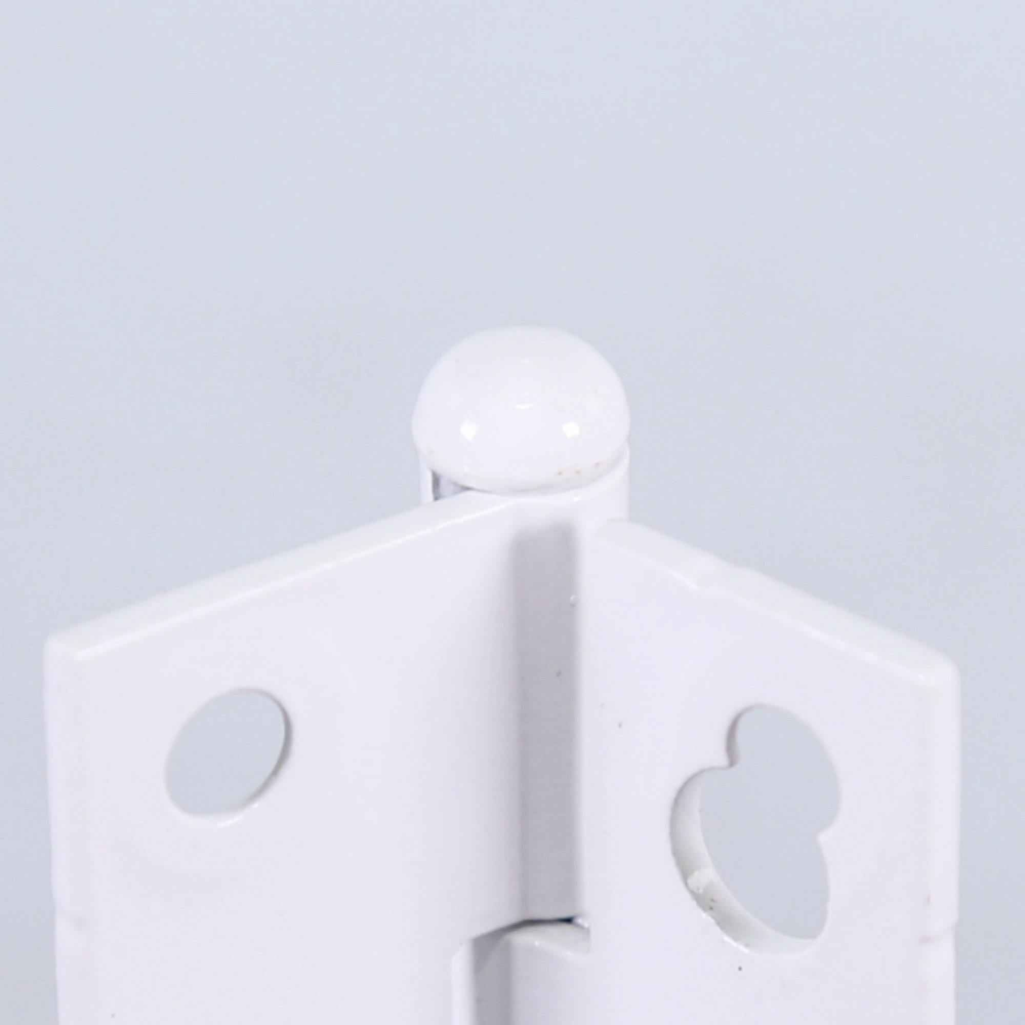 WP8565018 HINGE