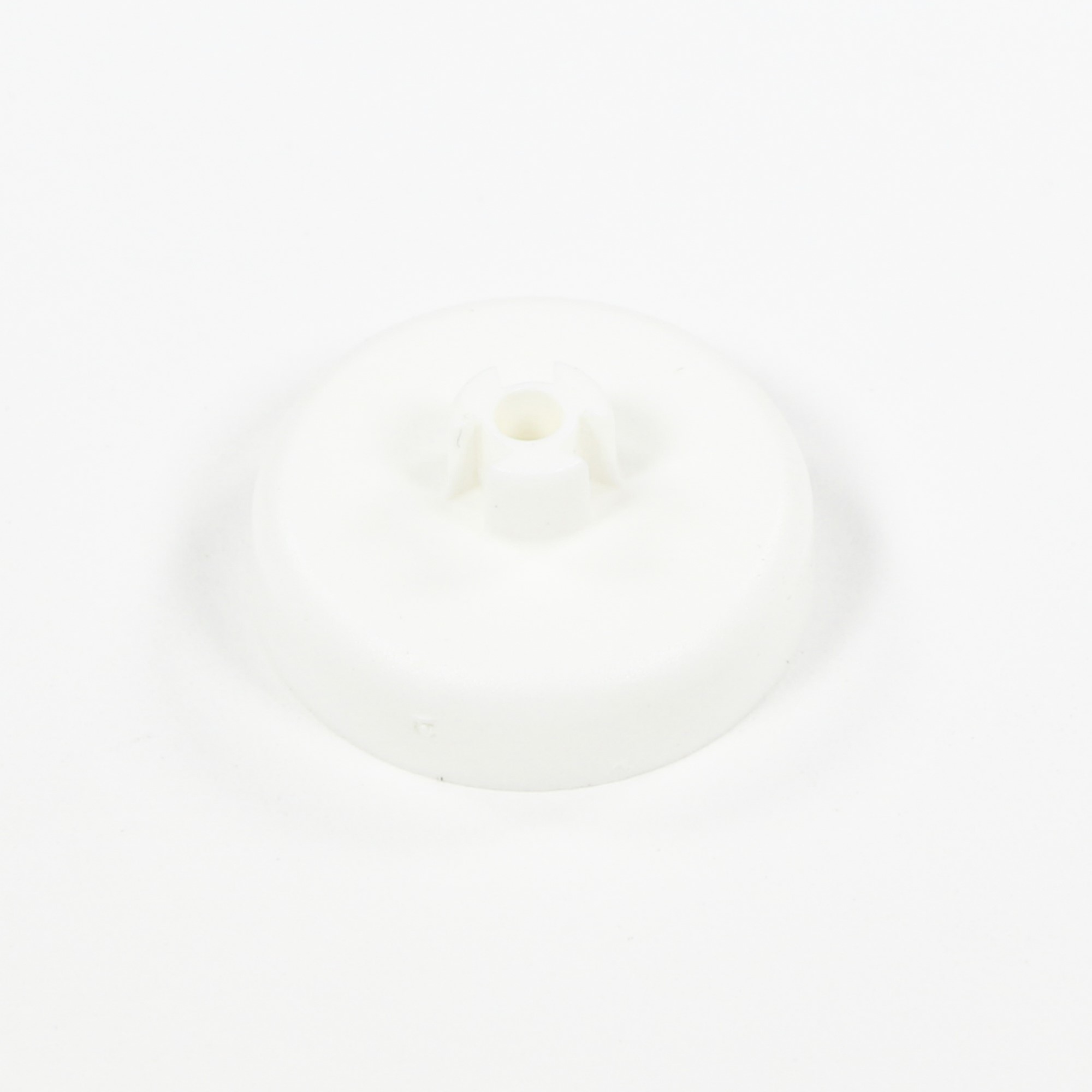 WR02X10322 CAP DUST