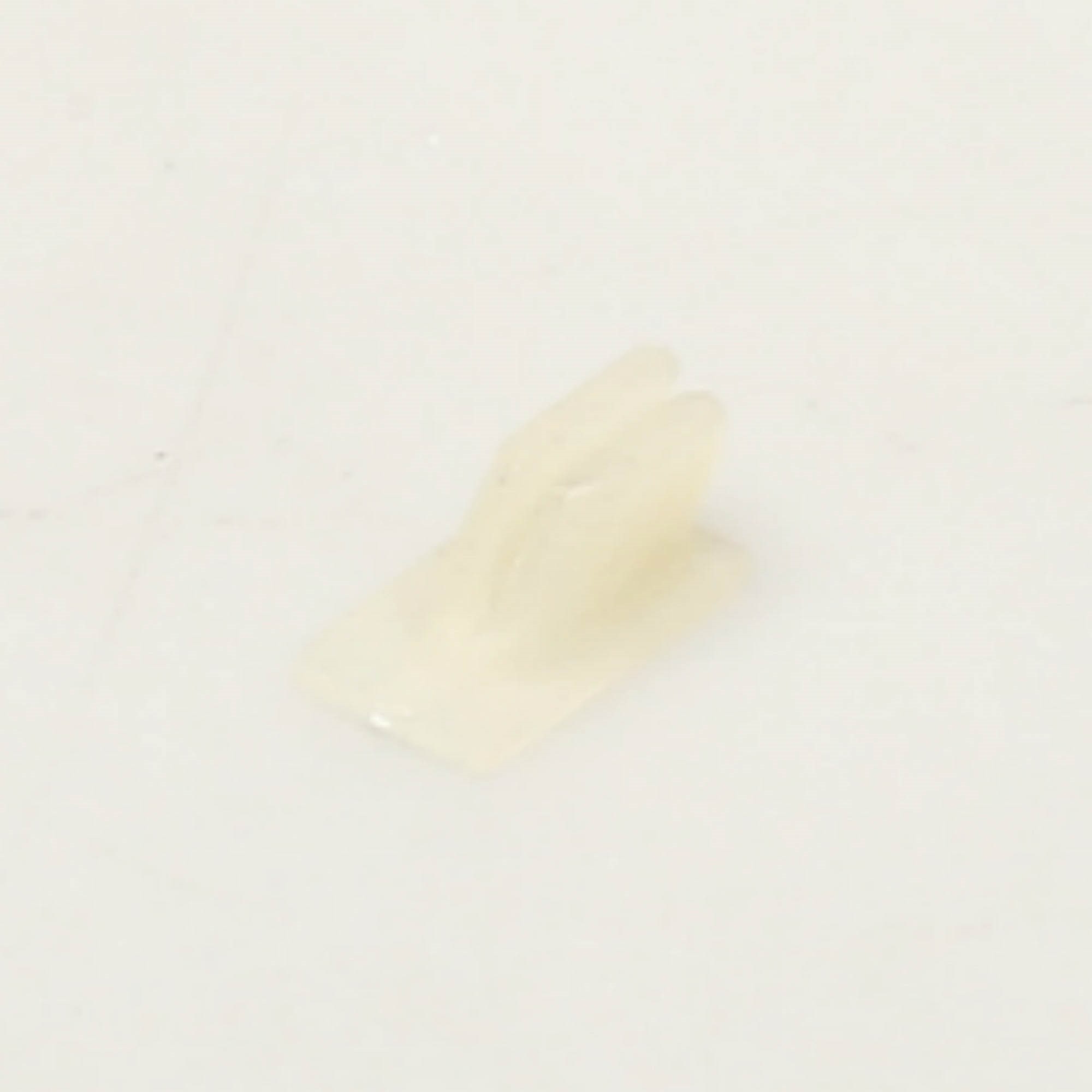 WP357213 NUT