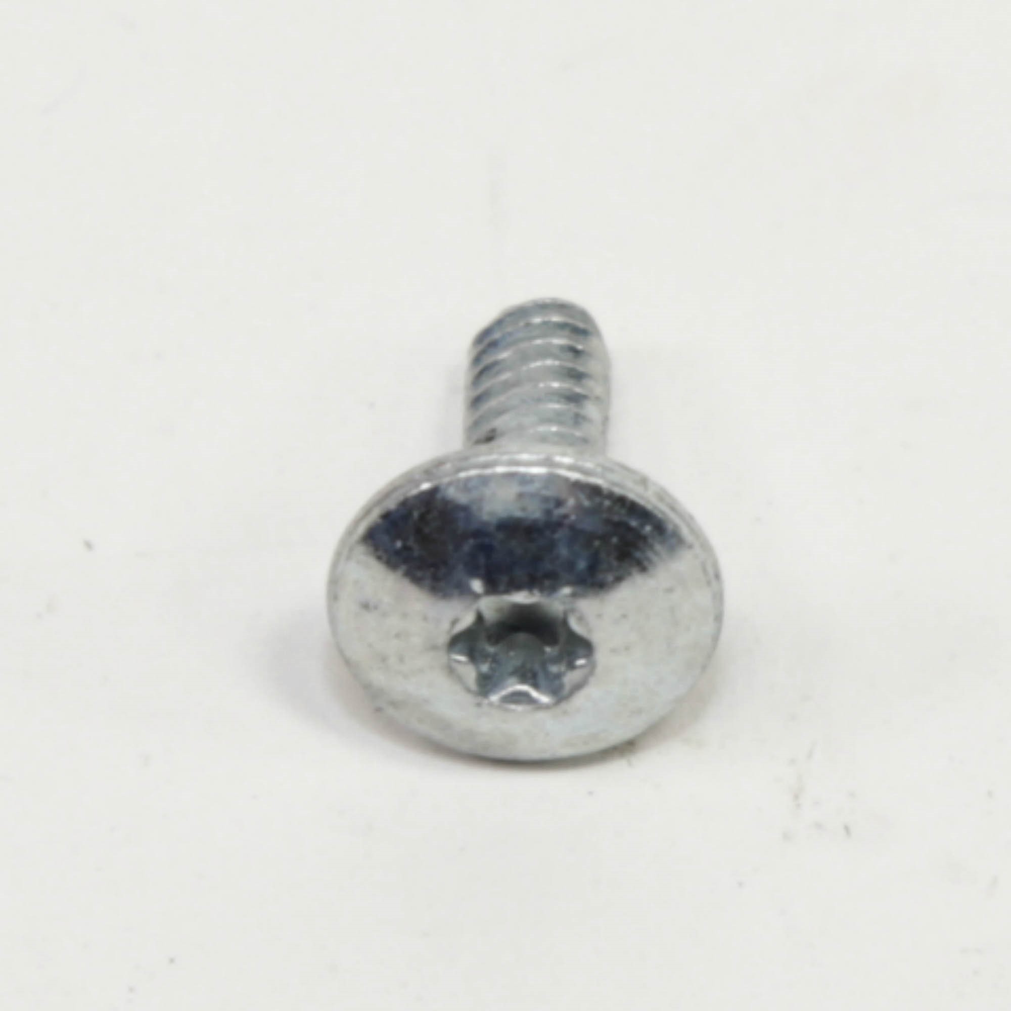 WE2M163 SCREW 10