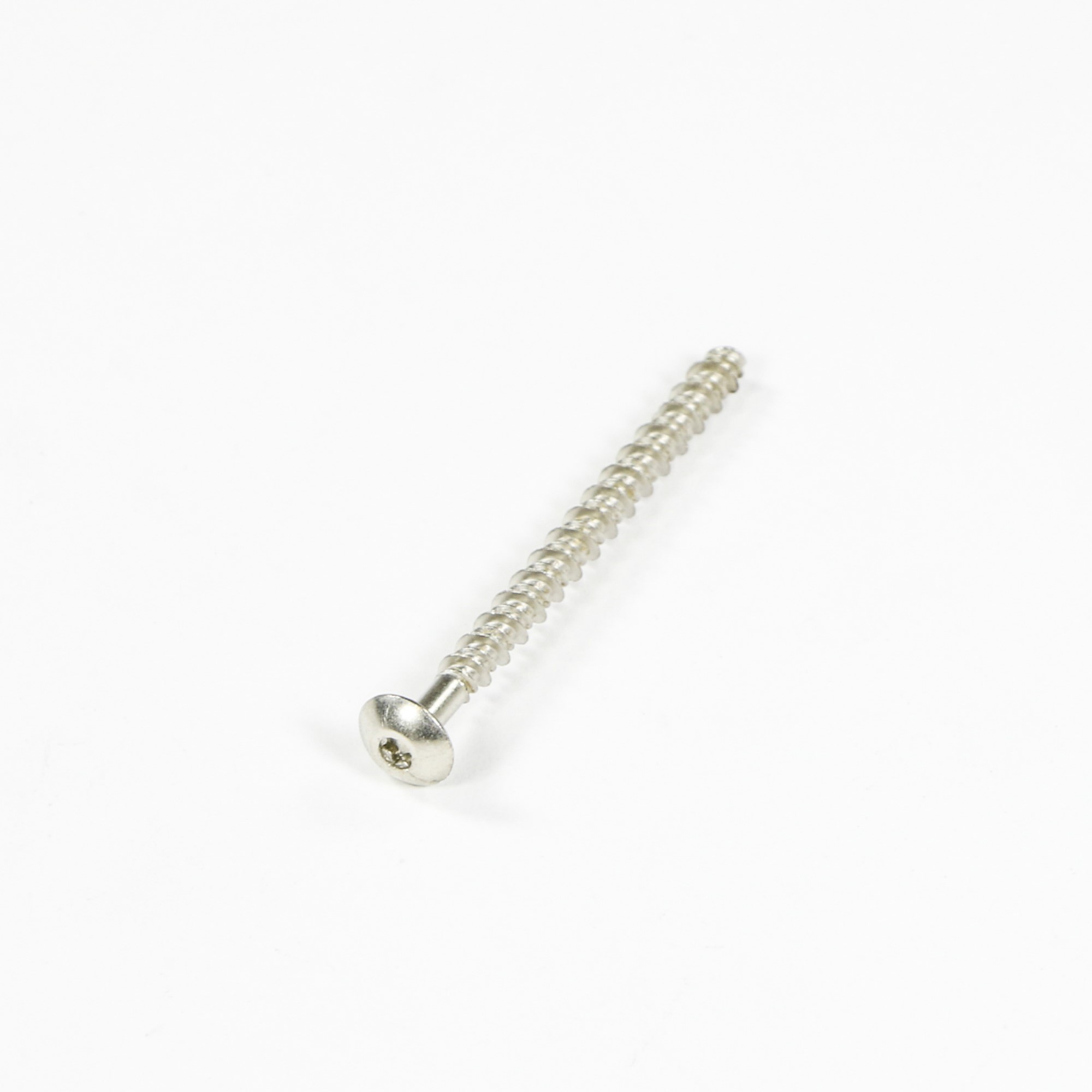 WB01T10067 GE Range Screw 10-16 PL PNT