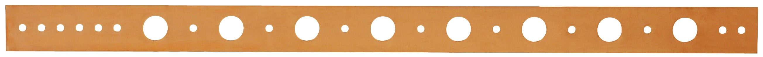 PPG 521-118R