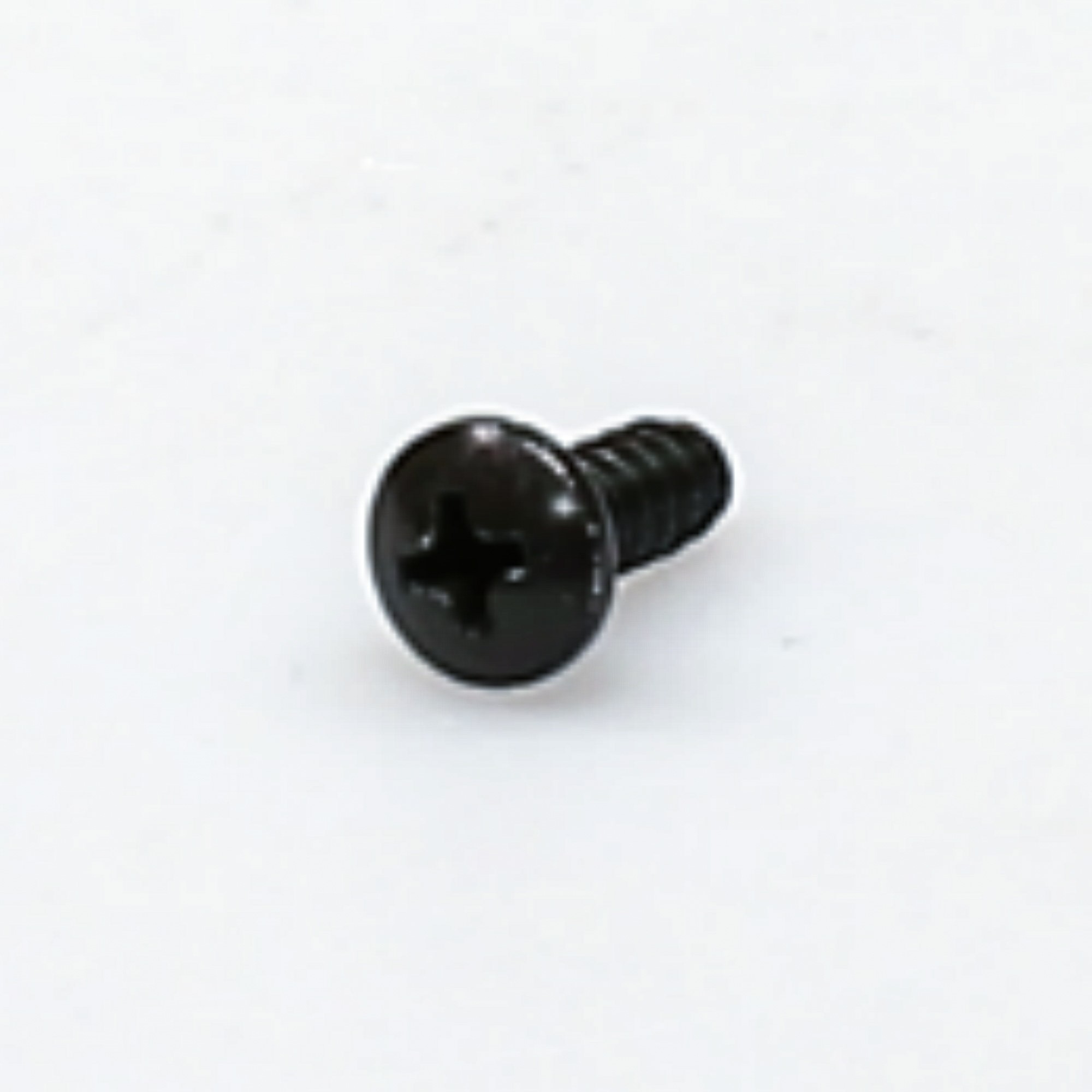 WP98004218 SCREW