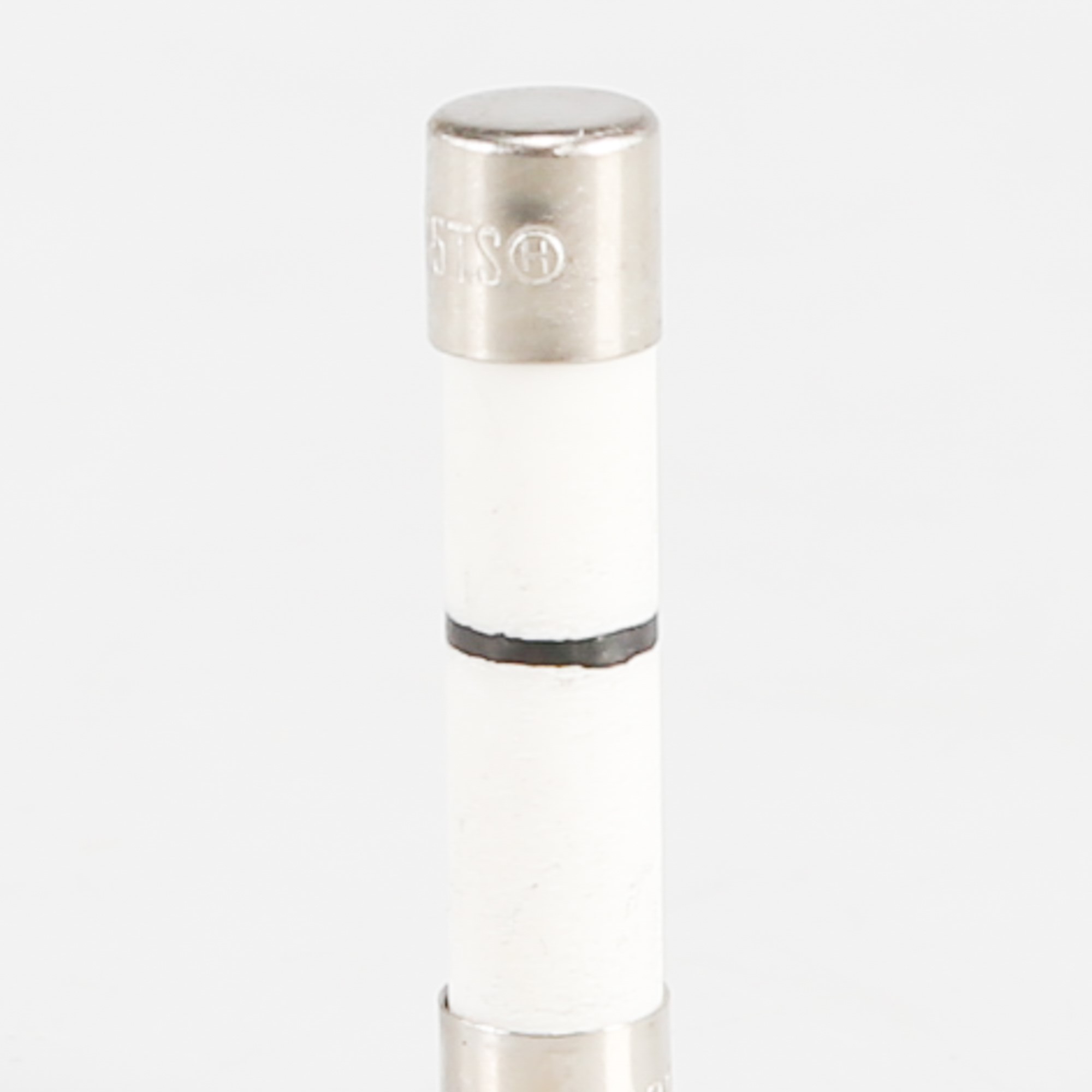 WP8183507 FUSE