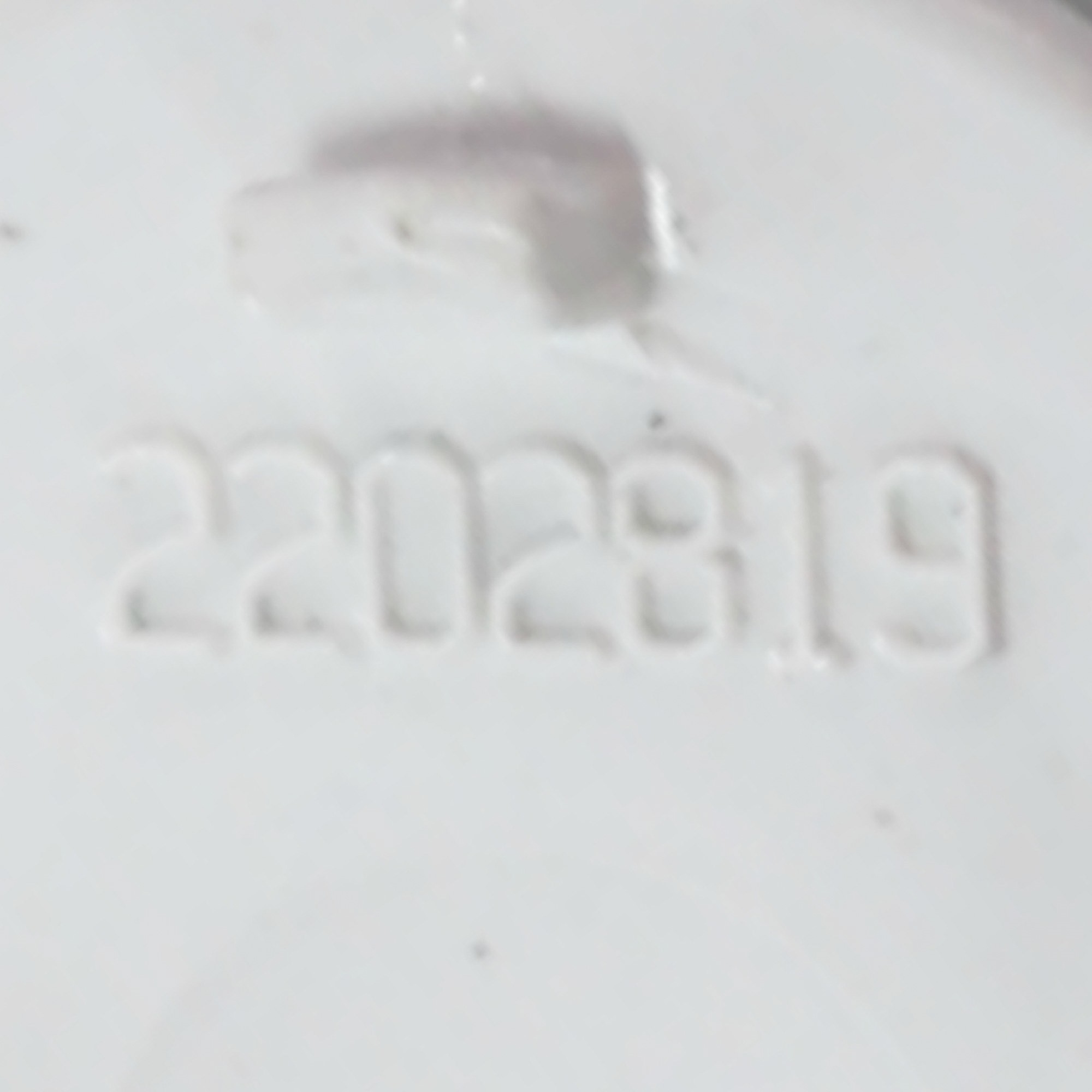 WP2202819W COVER