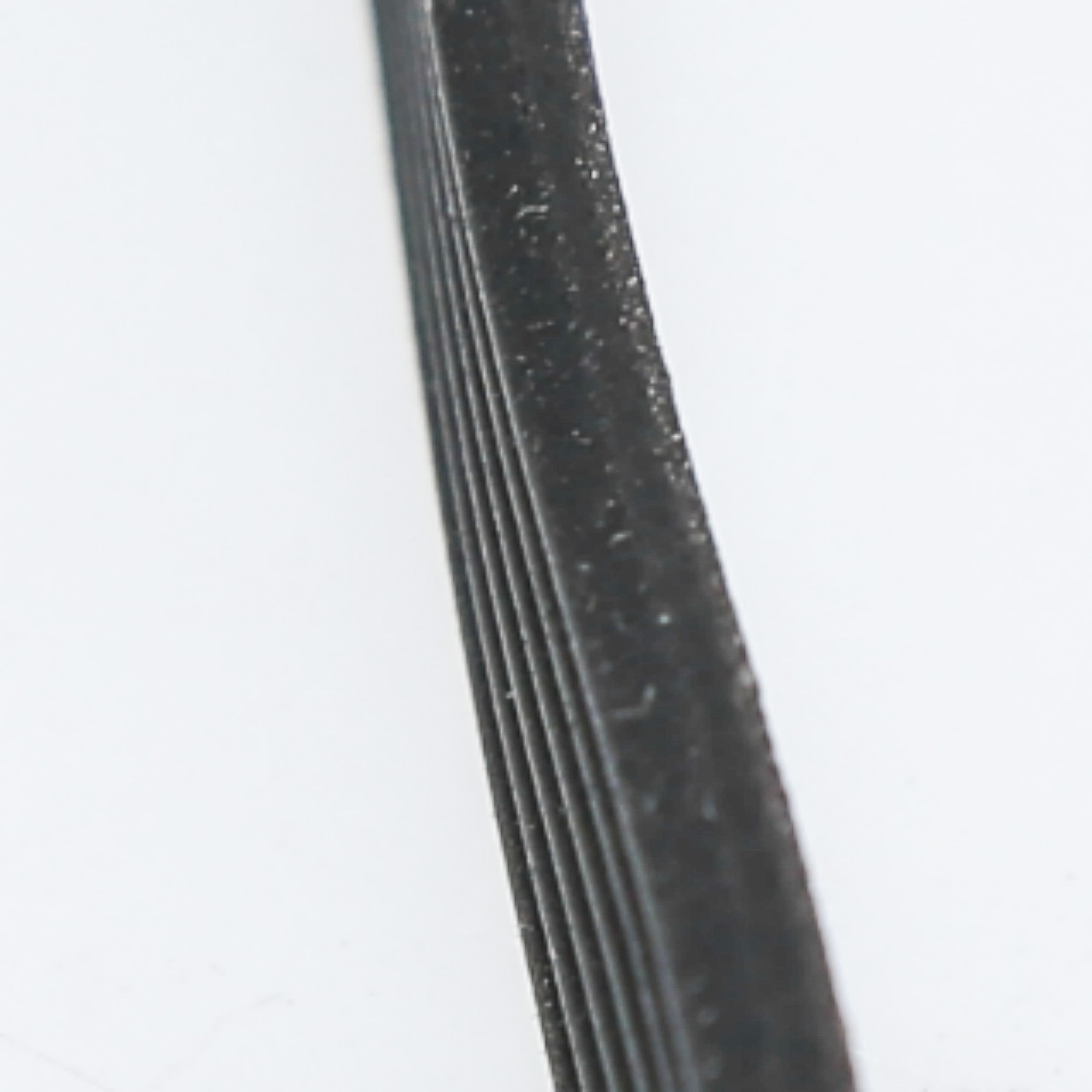 WPW10260319 Whirlpool Drive Belt