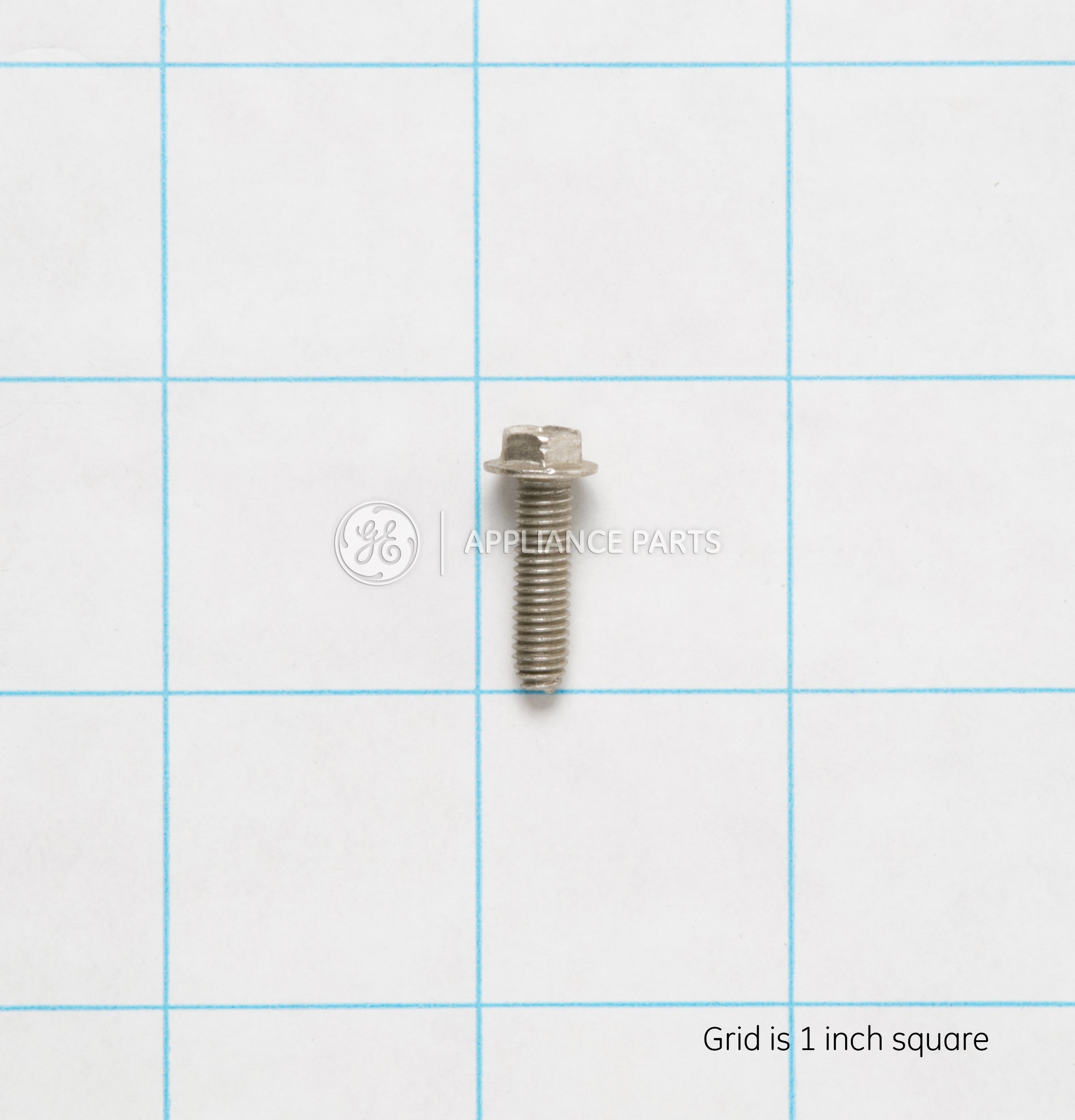 WB1X1116 SCREW