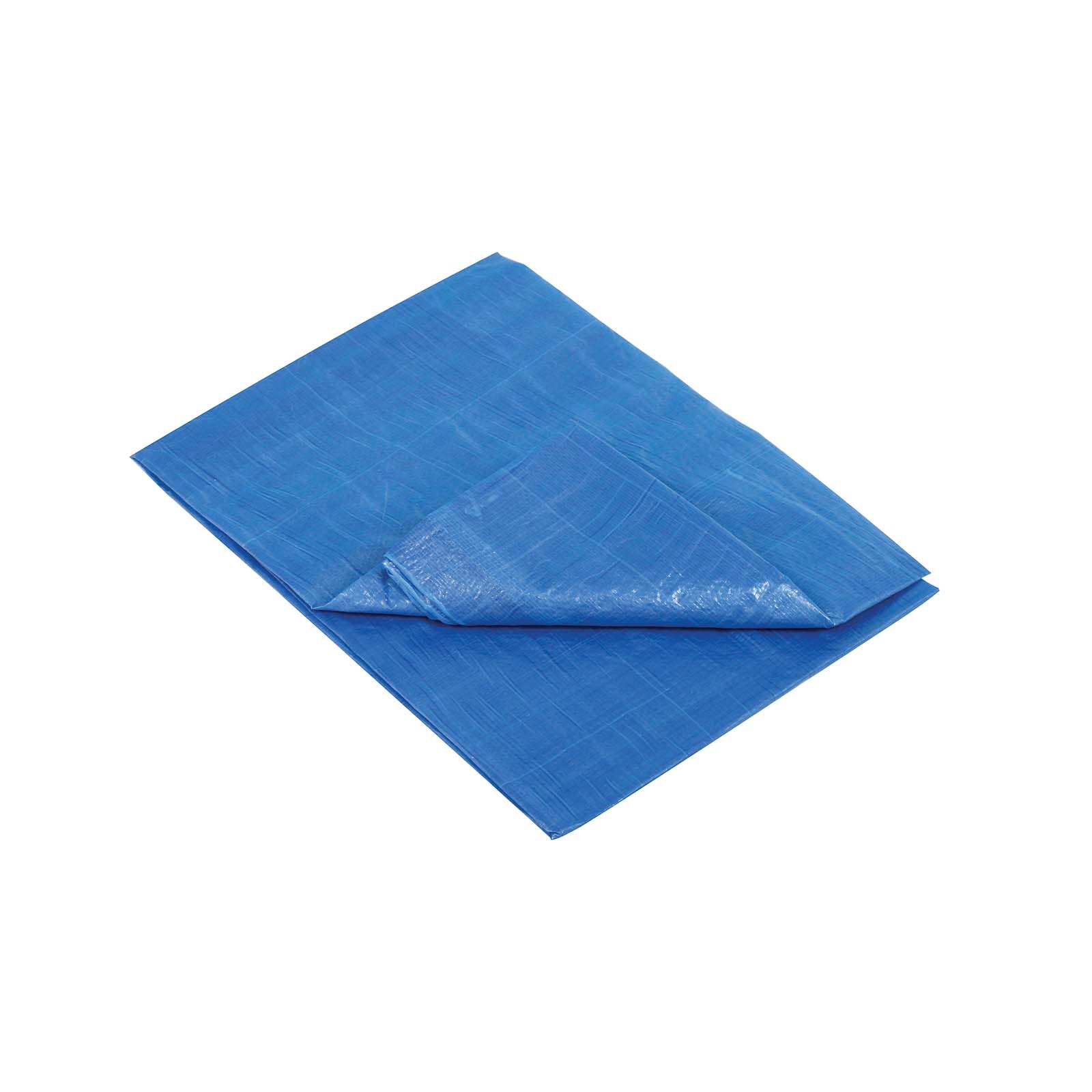 59388 PLASTIC REINFORCED TARP, BLUE, 6 X 8 FT