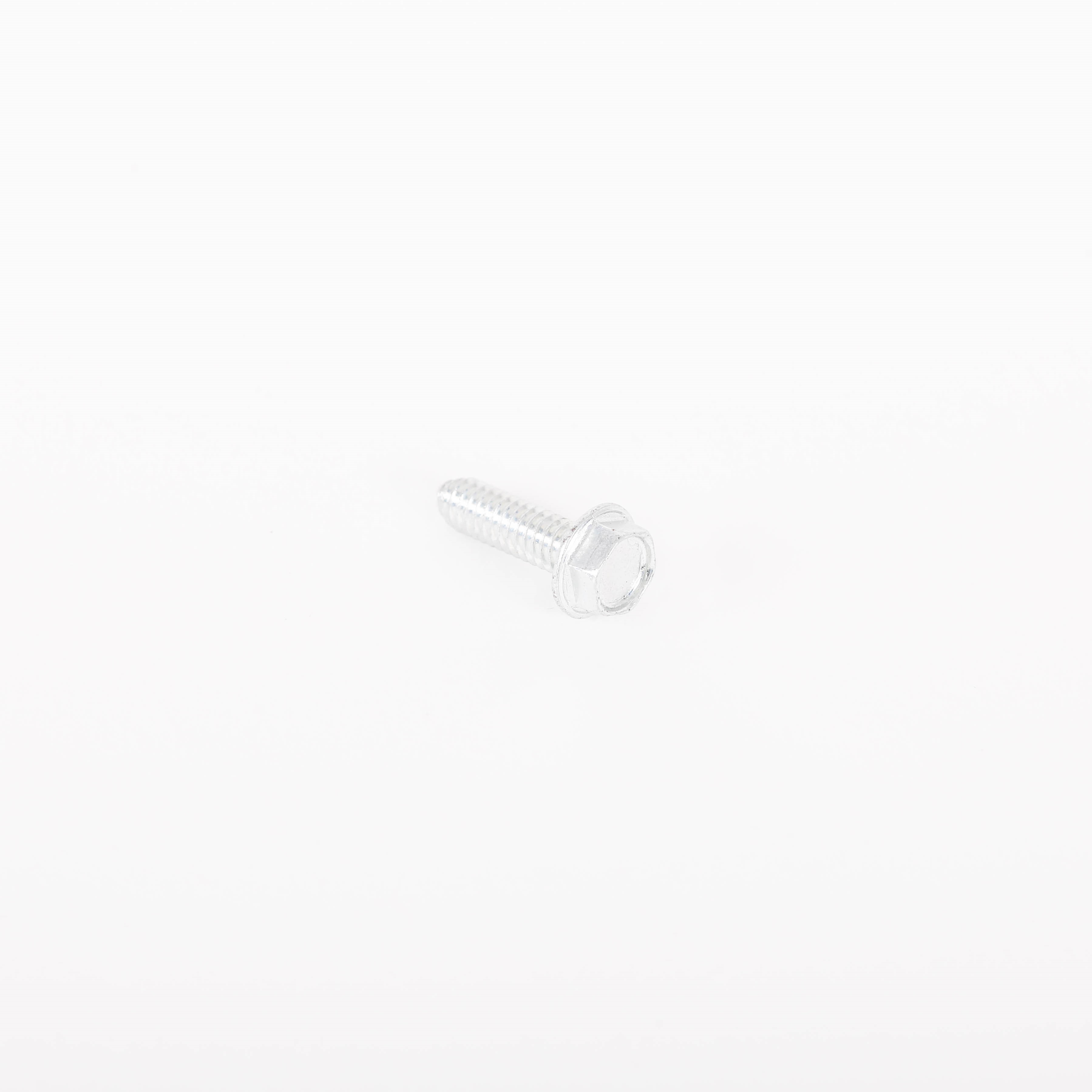 240555005 SCREW