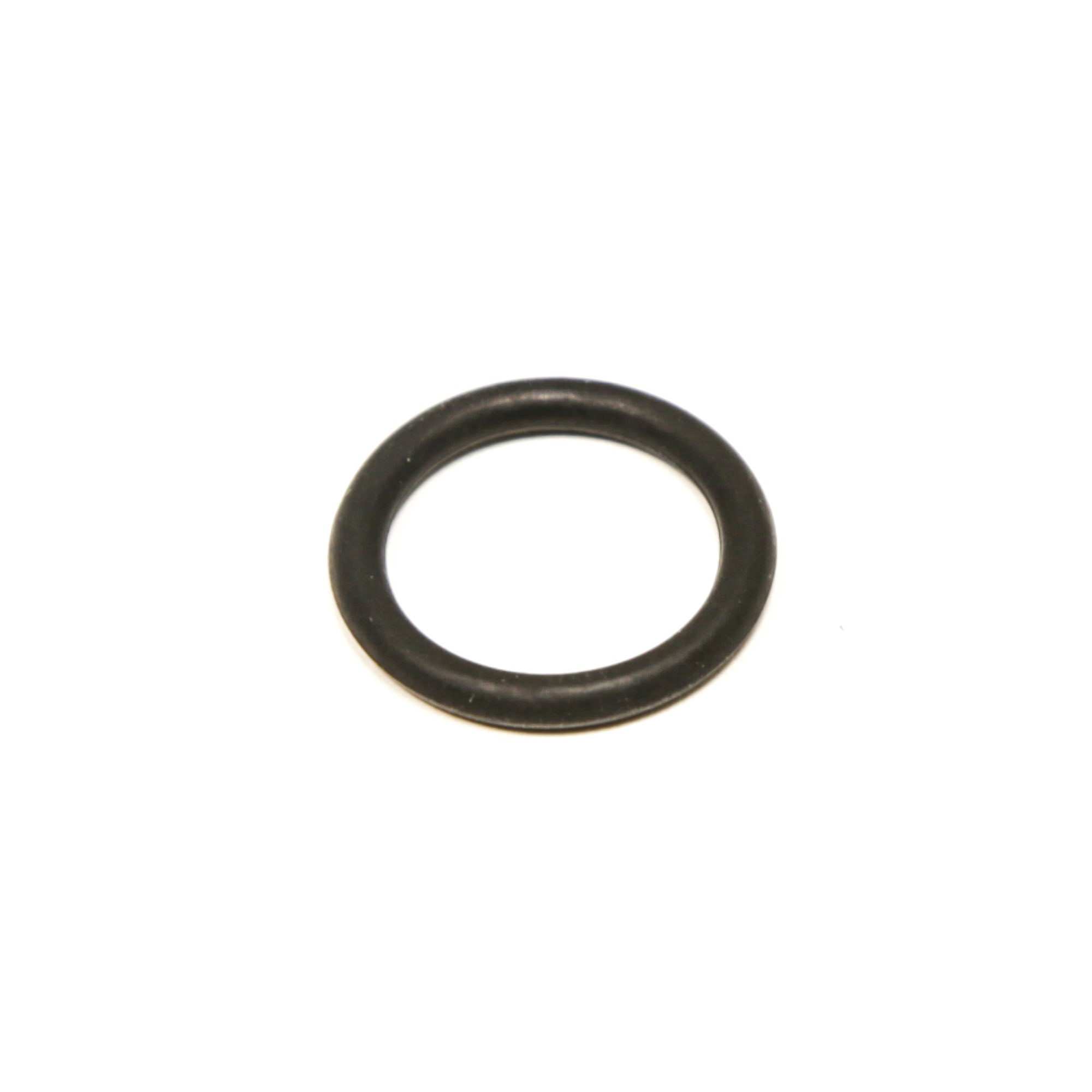 WP22002417 O-RING AGI