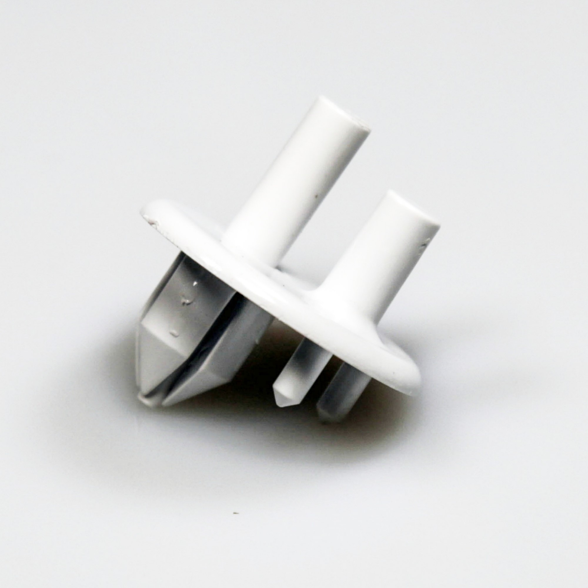241993001 SUPPORT-CRISPER CVR