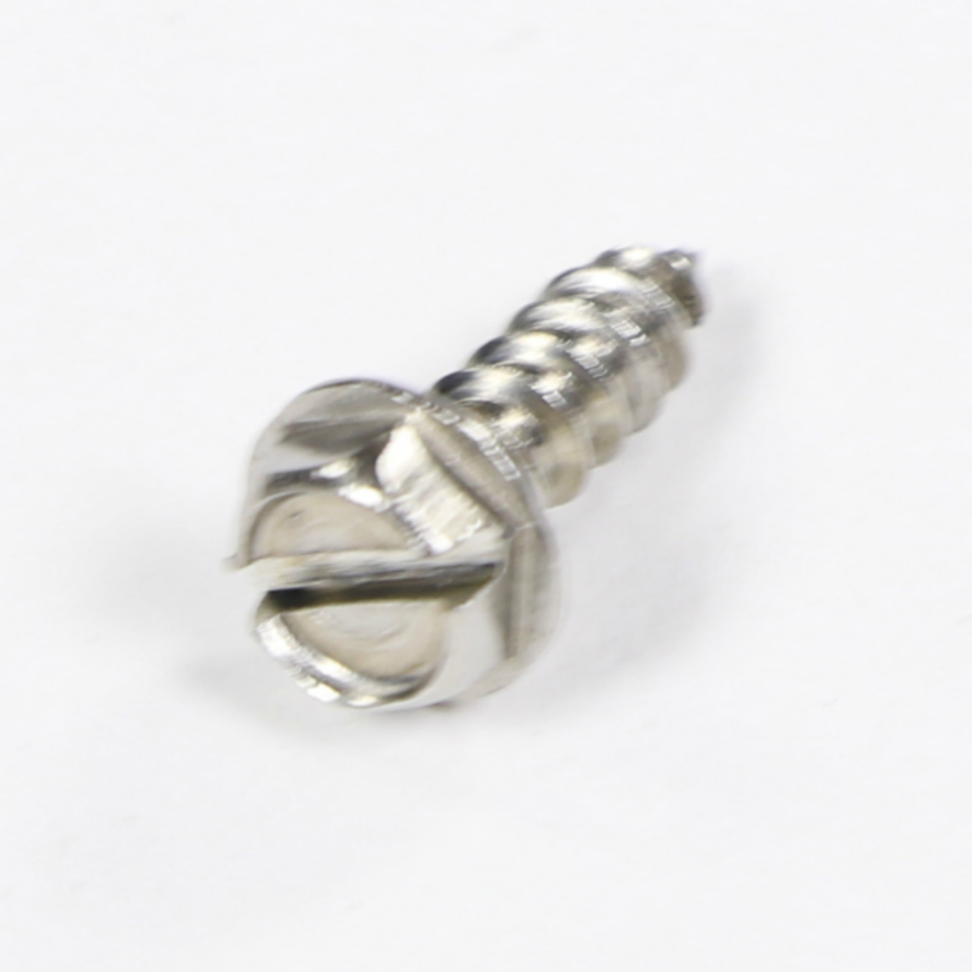 WP489069 SCREW