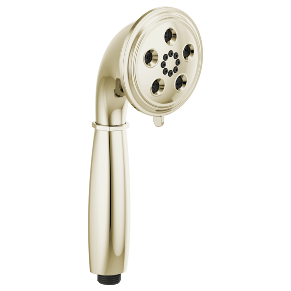 PPG RP81079PN
