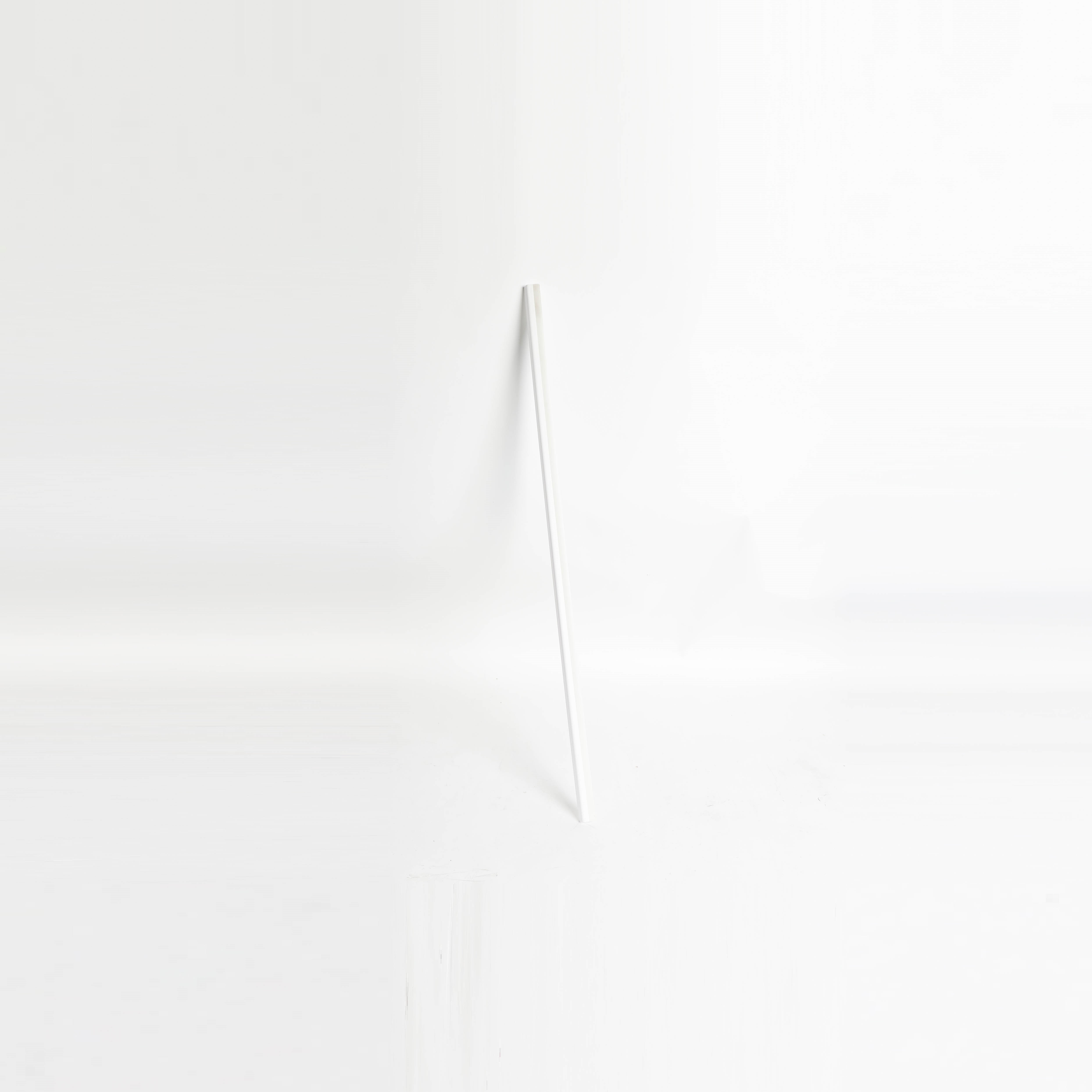 5304519041 - GASKET
